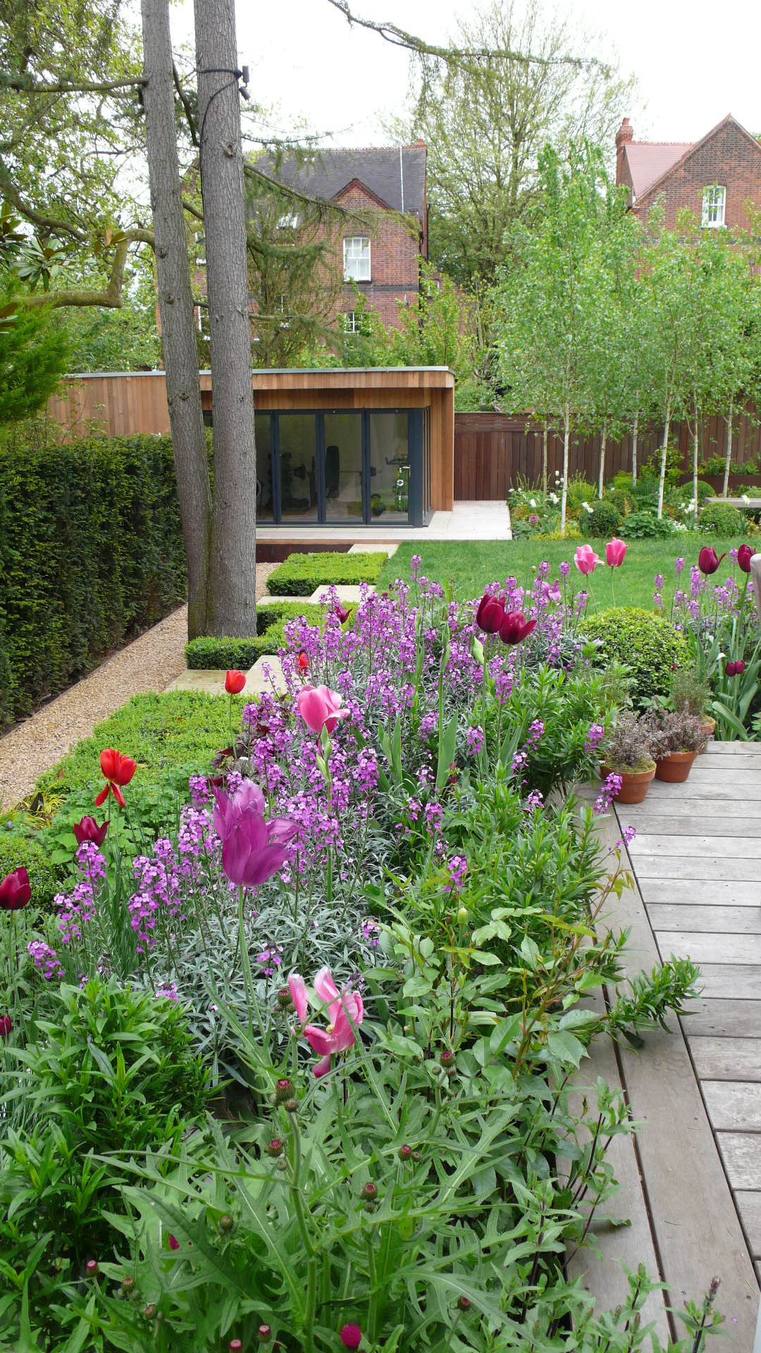 Рубить нельзя оставить: Что делать со взрослыми деревьями на даче