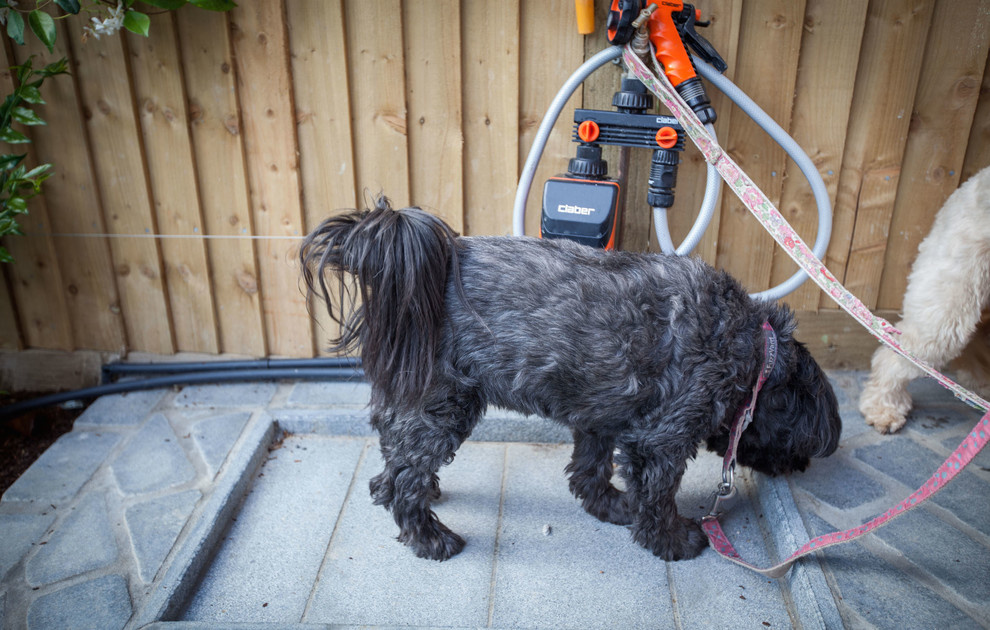 До и после: Крошечный сад при таунхаусе