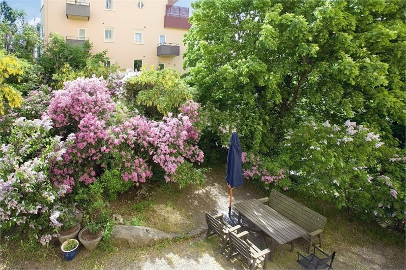 Фотоохота: Дворики, садики, патио — 65 идей из Швеции