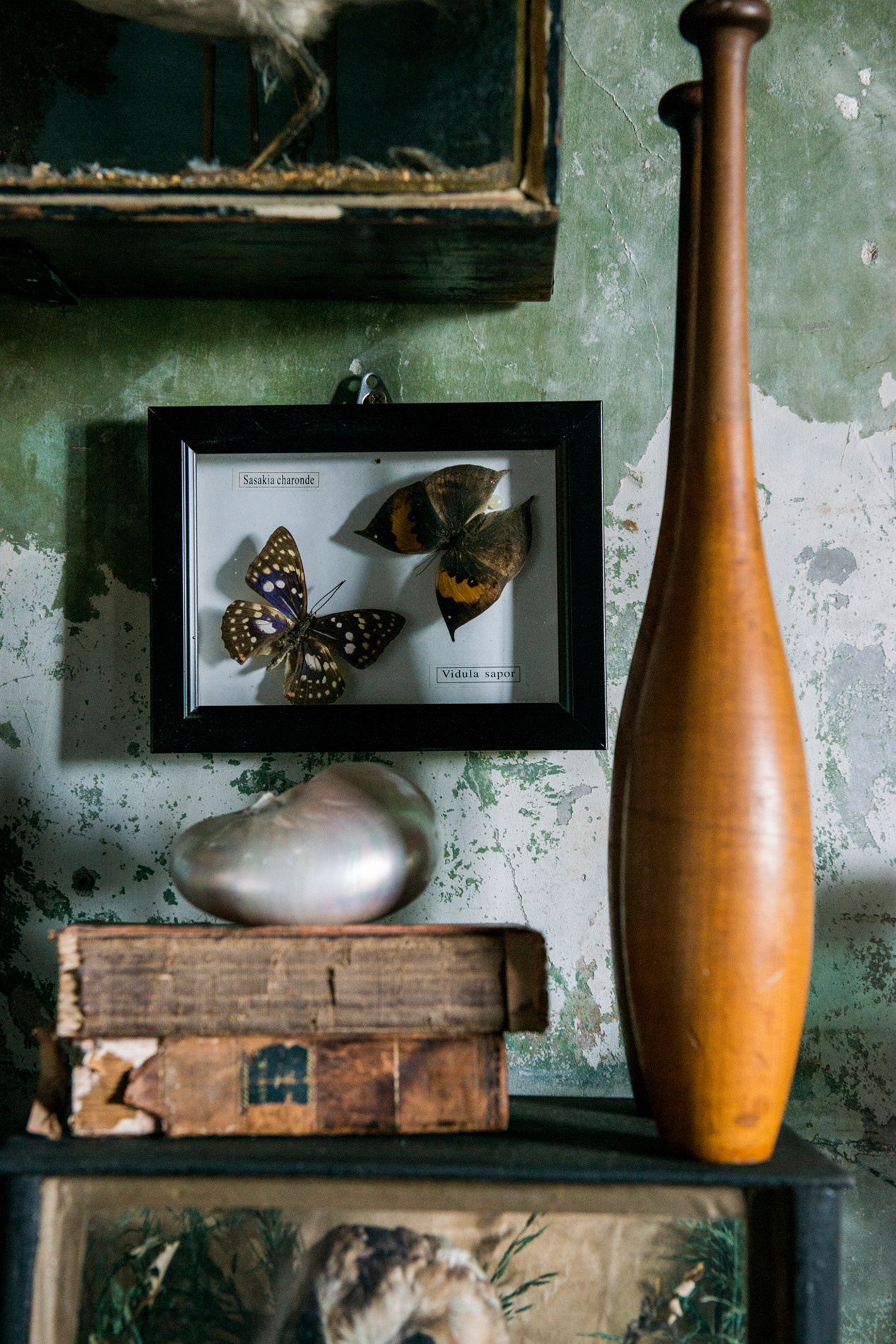 Houzz Австралия: Старинные сокровища в столетнем доме