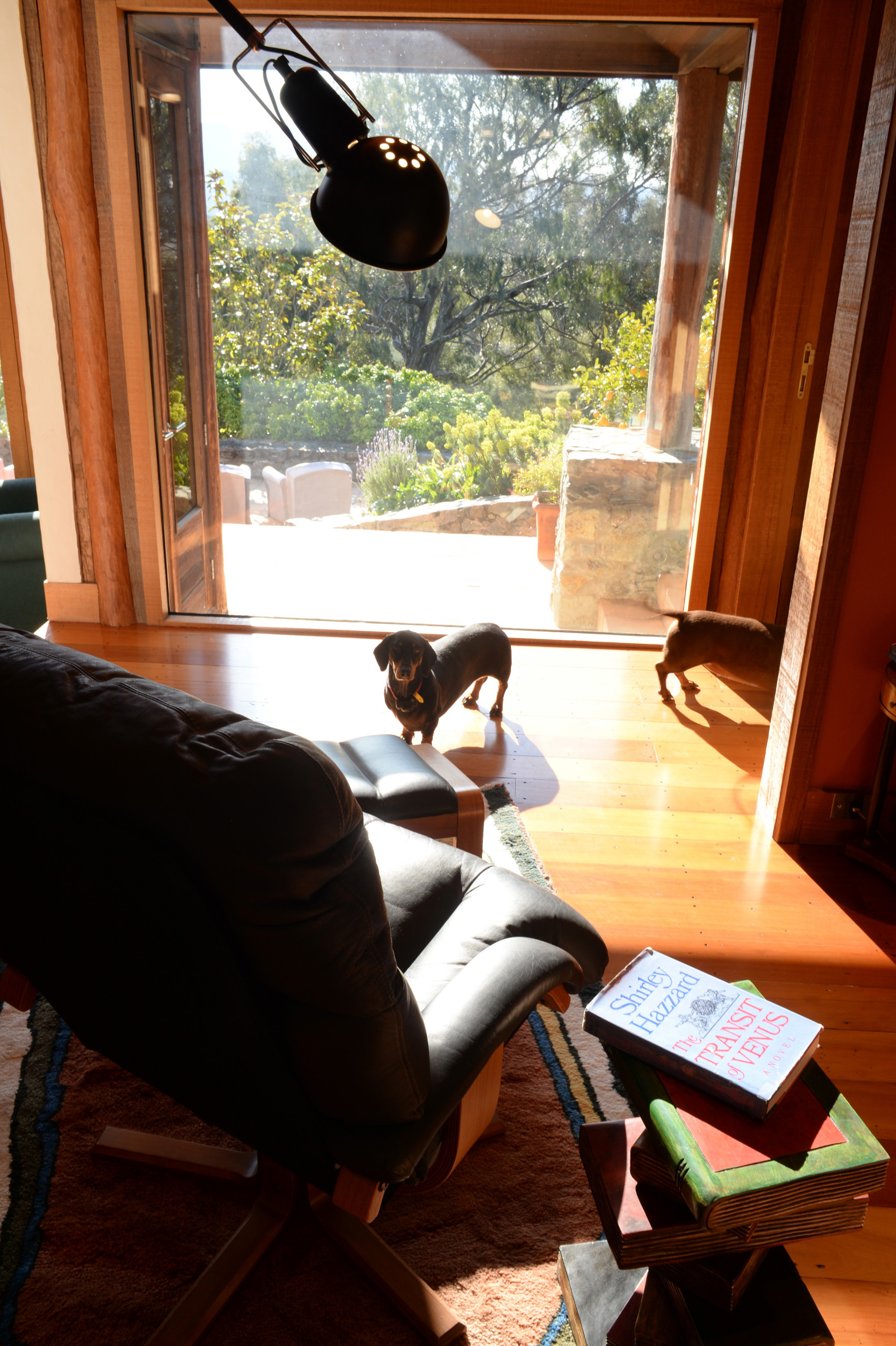 Мир дизайна: Книголюбы и места их обитания