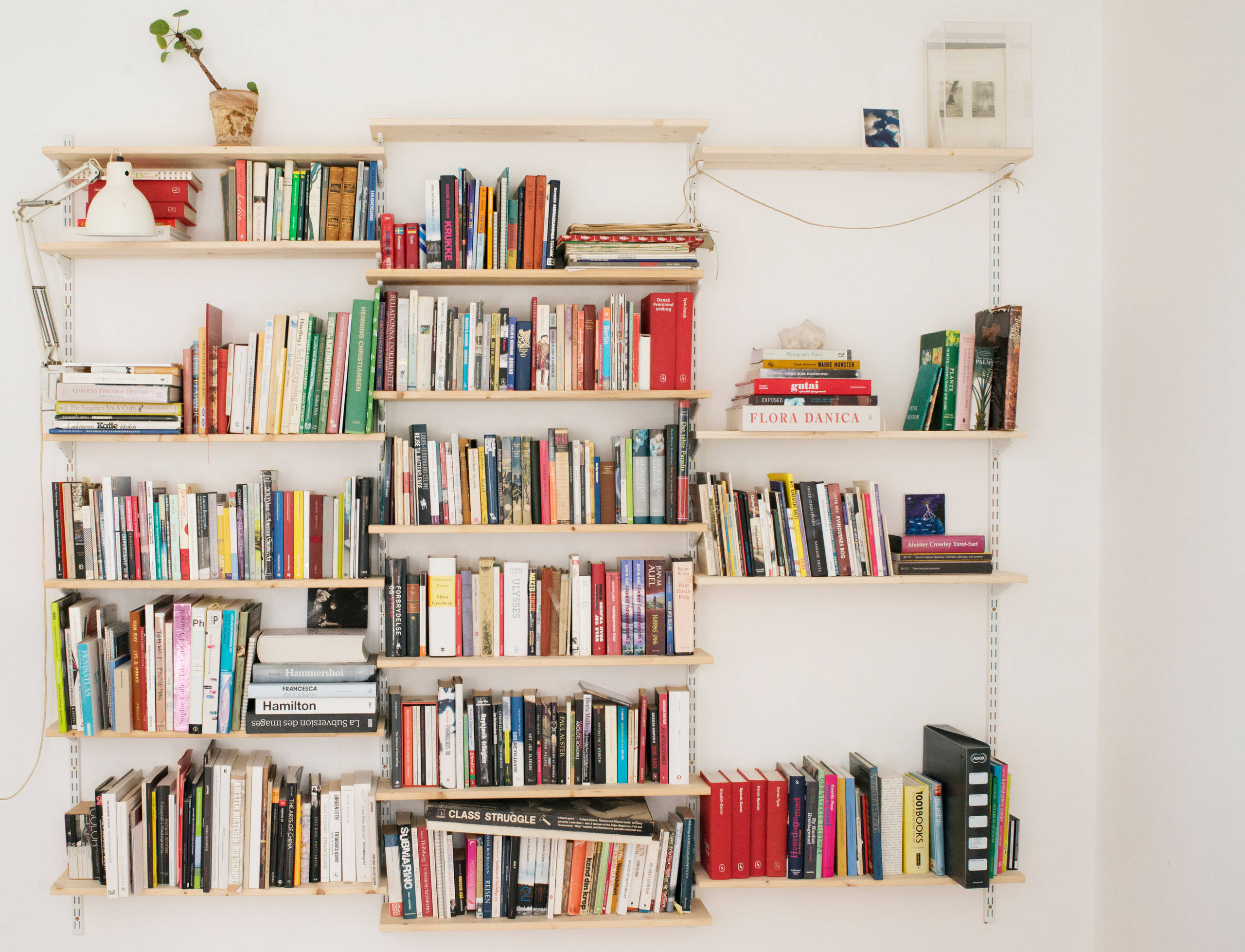 Мир дизайна: Книголюбы и места их обитания