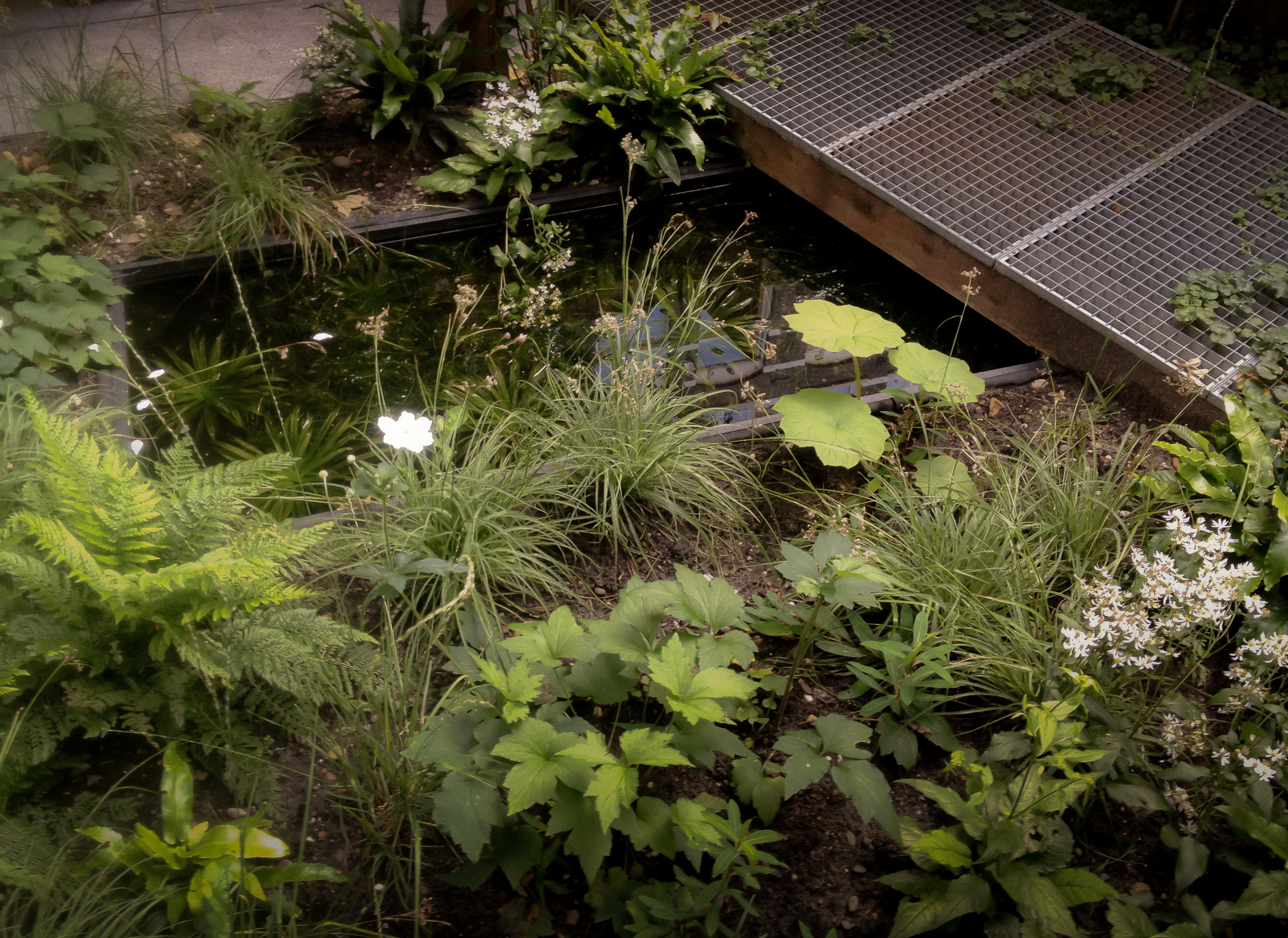 До и после: Сад на 1 (!) сотке—на заднем дворе в Амстердаме