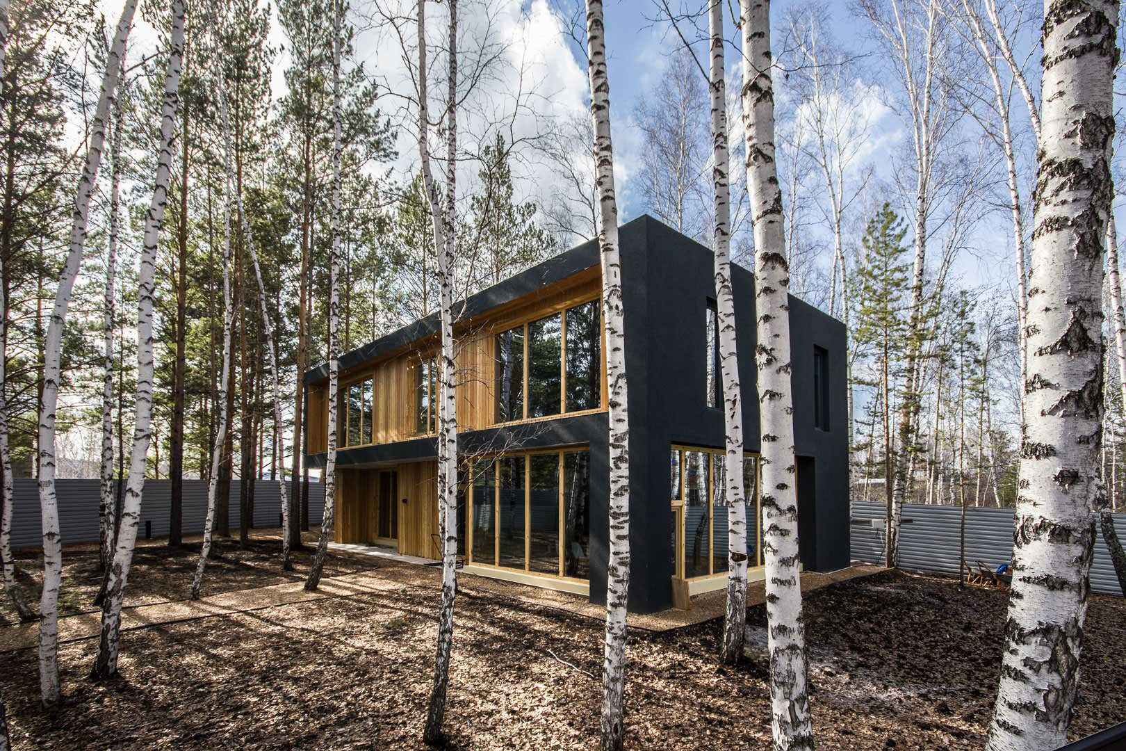 Стиль в ландшафтном дизайне: Как выбрать растения