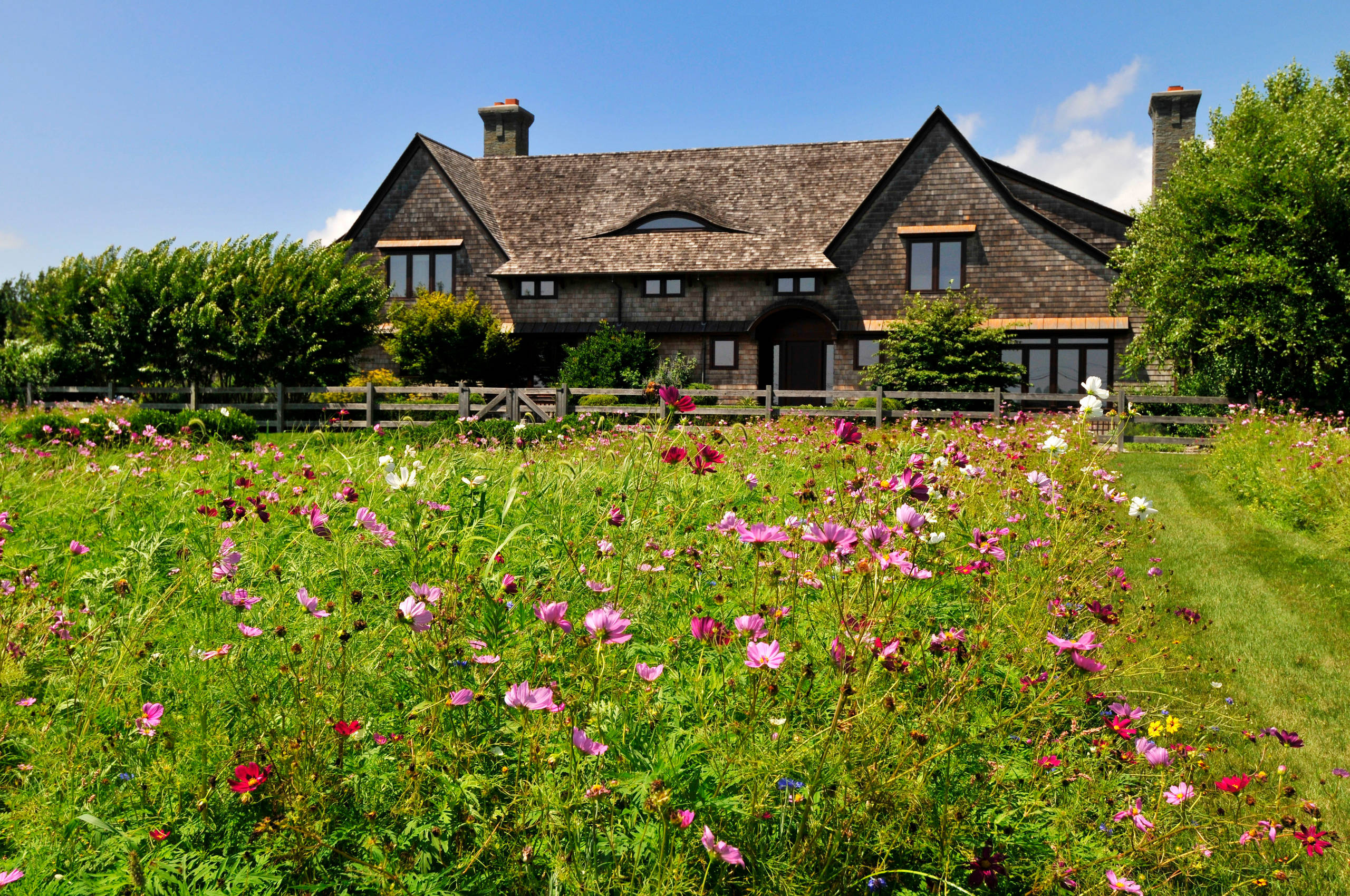 Стиль в ландшафтном дизайне: Как выбрать растения