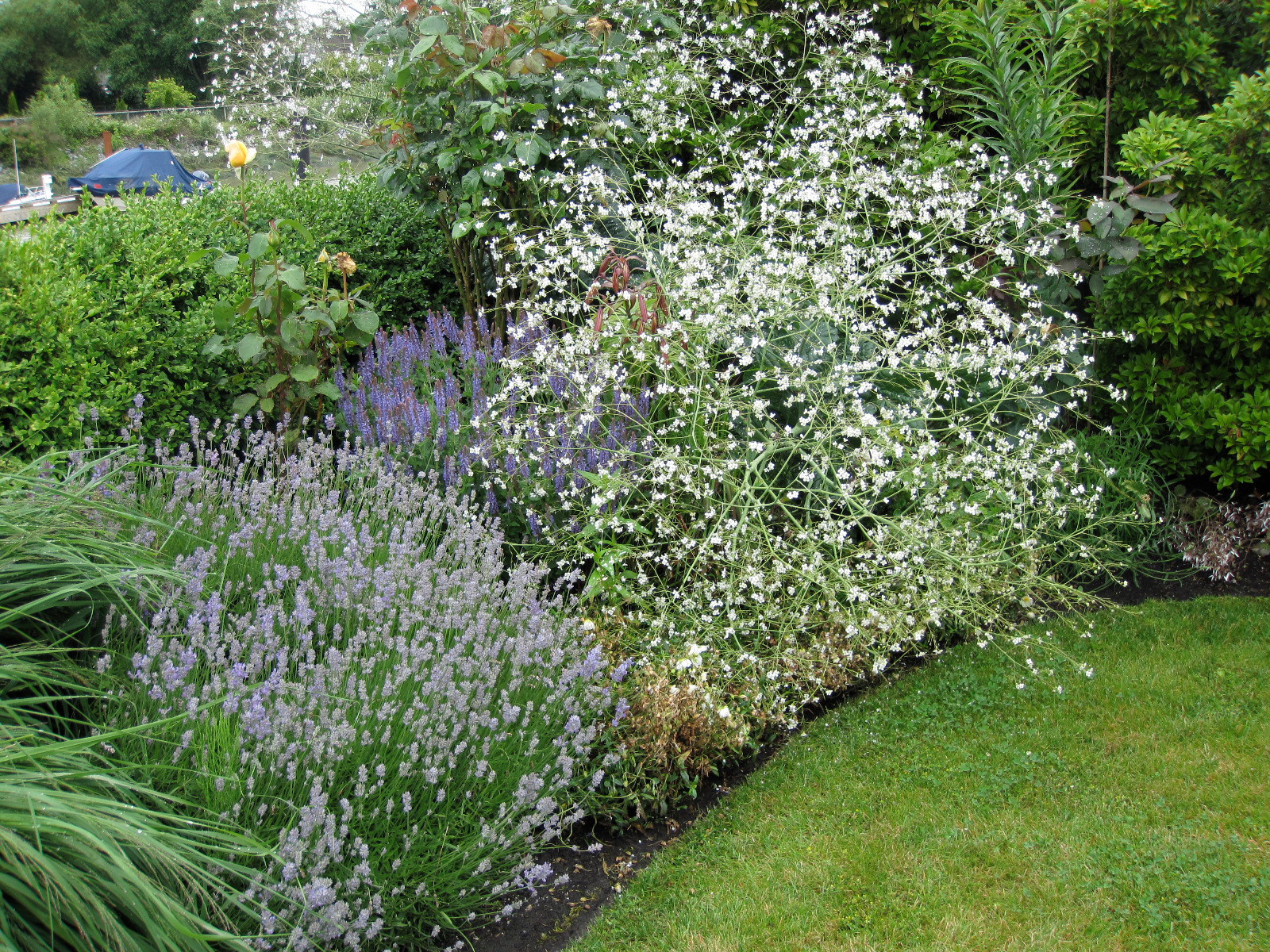 Стиль в ландшафтном дизайне: Как выбрать растения