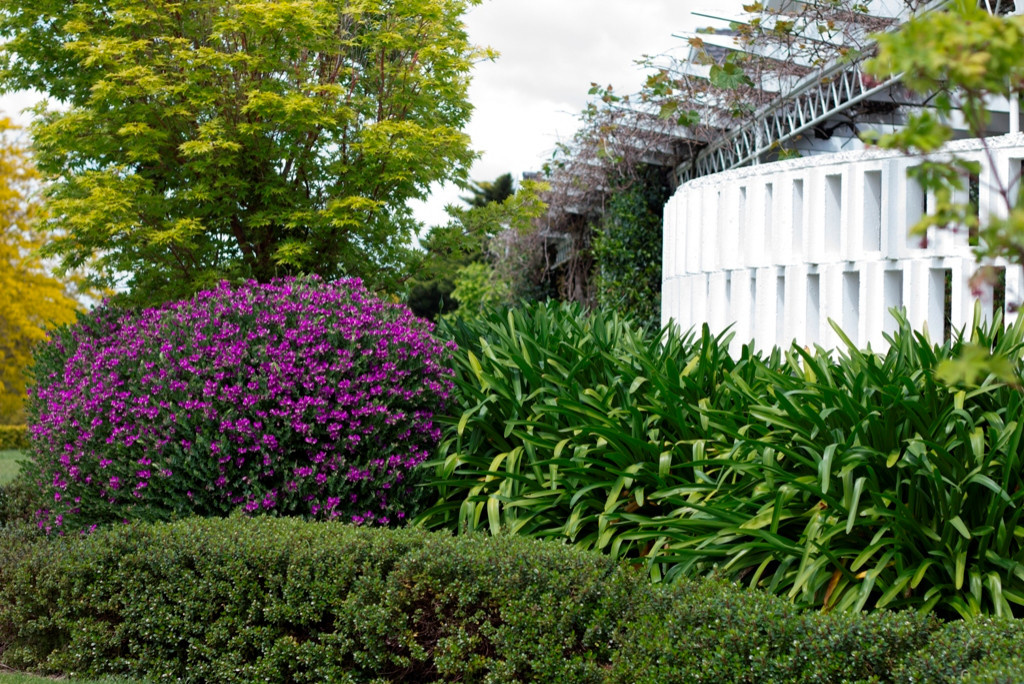 Стиль в ландшафтном дизайне: Как выбрать растения