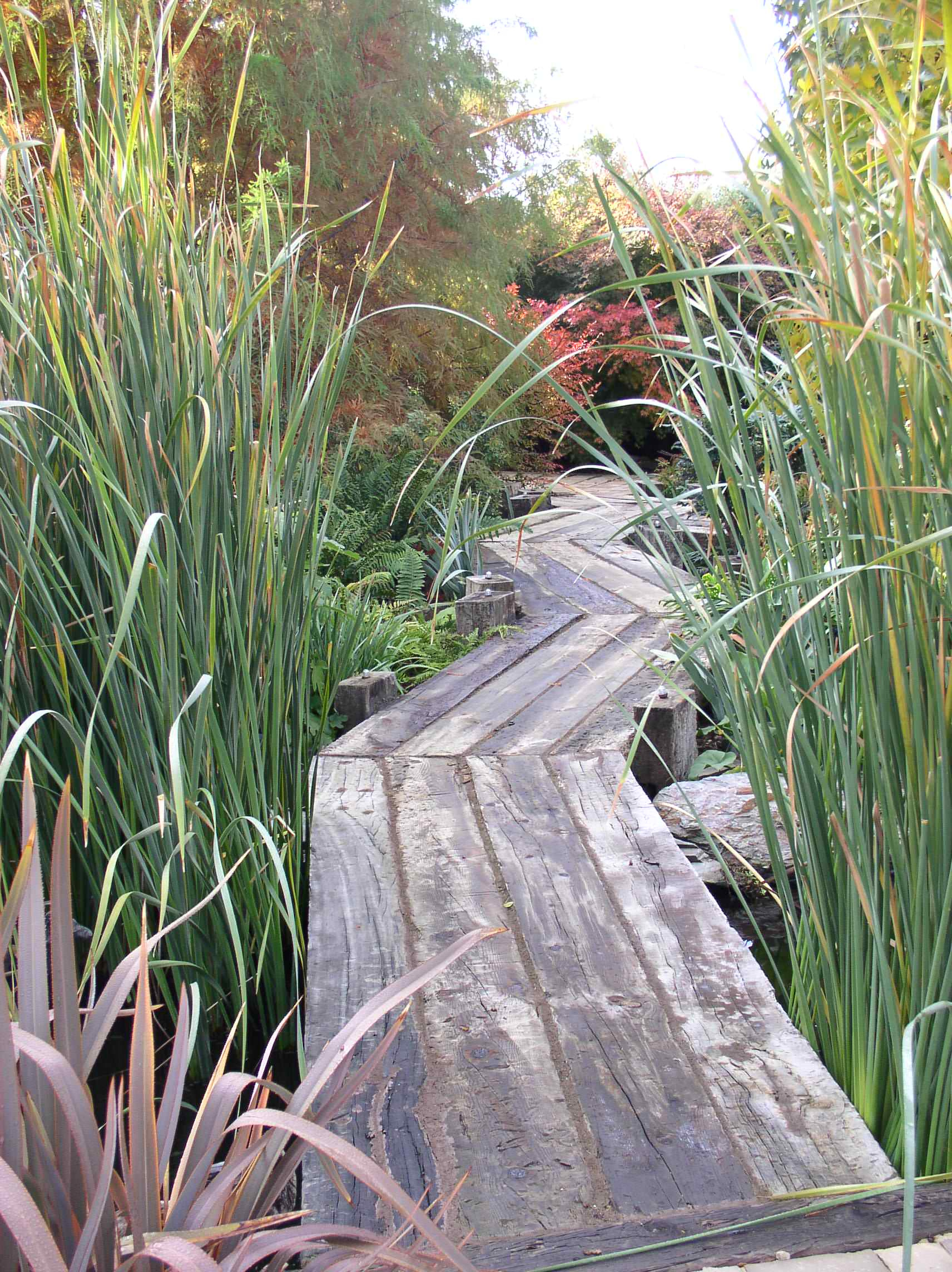 Стиль в ландшафтном дизайне: Как выбрать растения