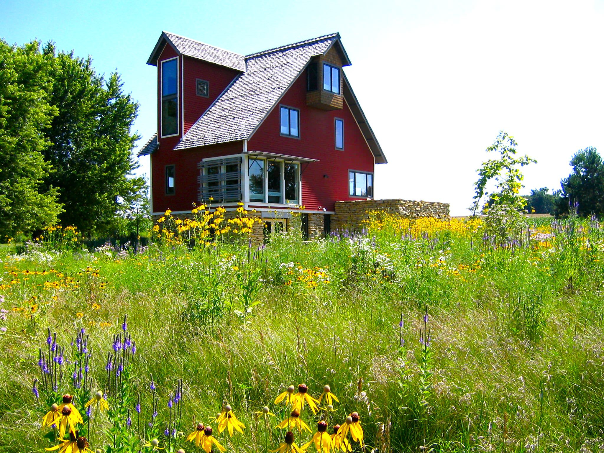Стиль в ландшафтном дизайне: Как выбрать растения