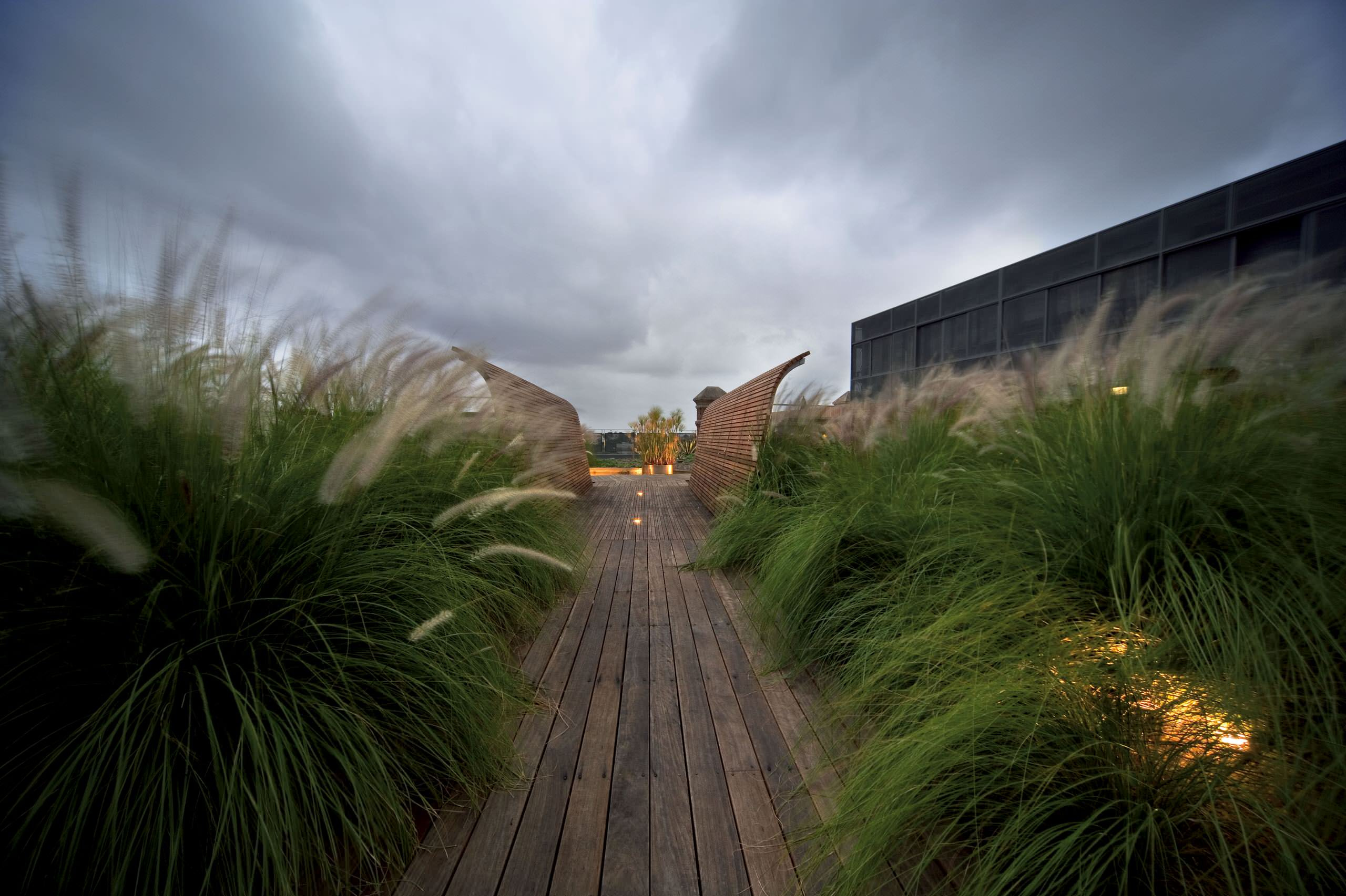 Стиль в ландшафтном дизайне: Как выбрать растения