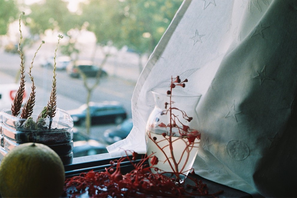 Личный опыт: Особенности аренды жилья в Португалии