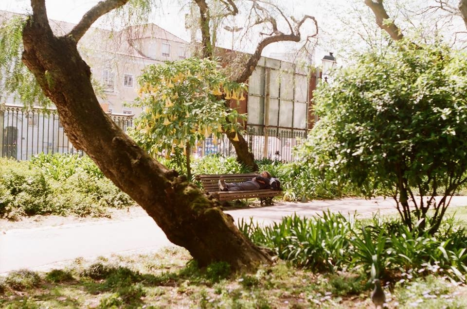 Личный опыт: Особенности аренды жилья в Португалии