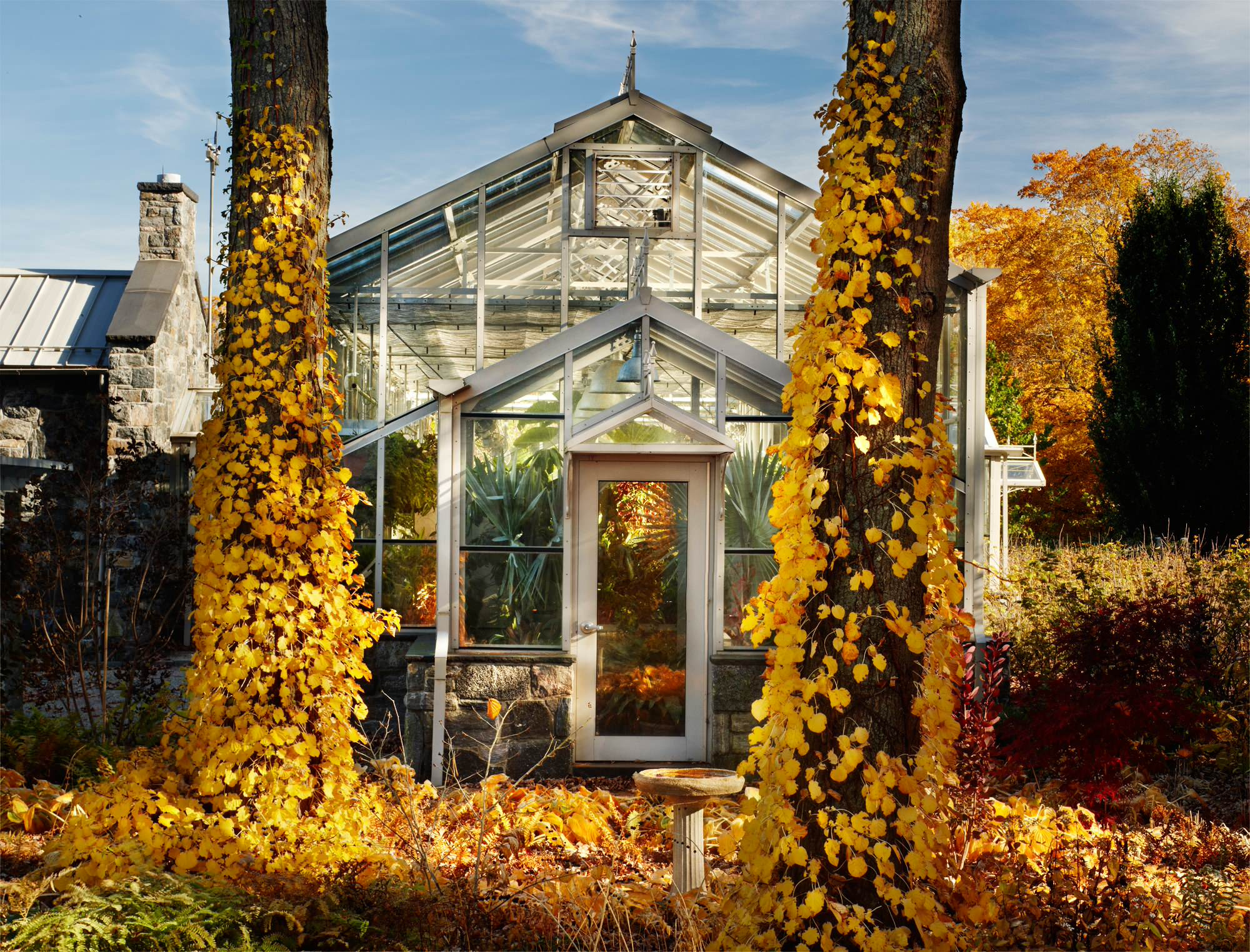 В ожидании бабьего лета: Важные садовые работы месяца