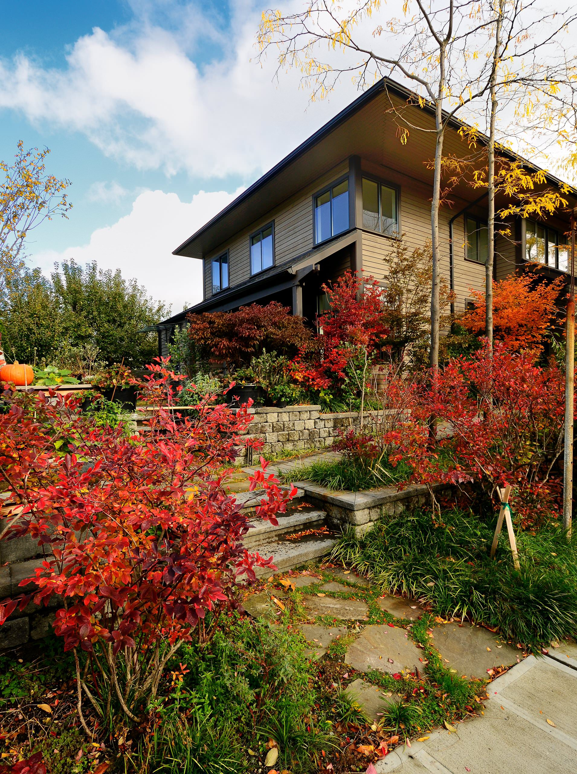 В ожидании бабьего лета: Важные садовые работы месяца