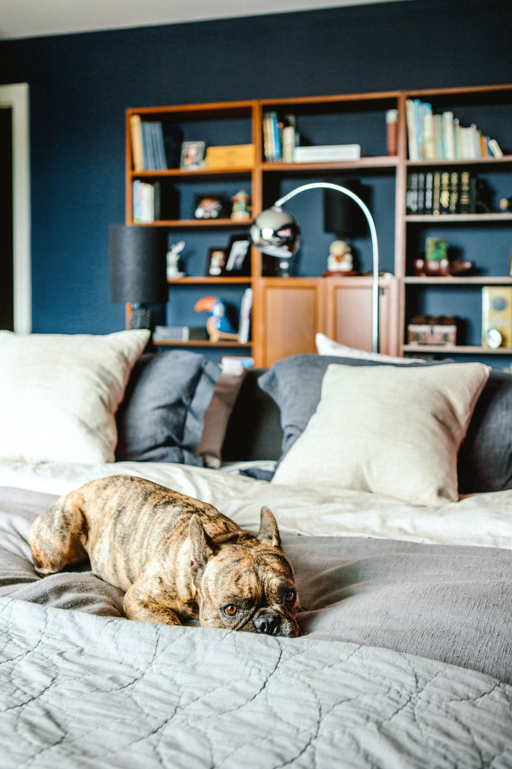 Houzz call: А как вы проводите время дома в самоизоляции?