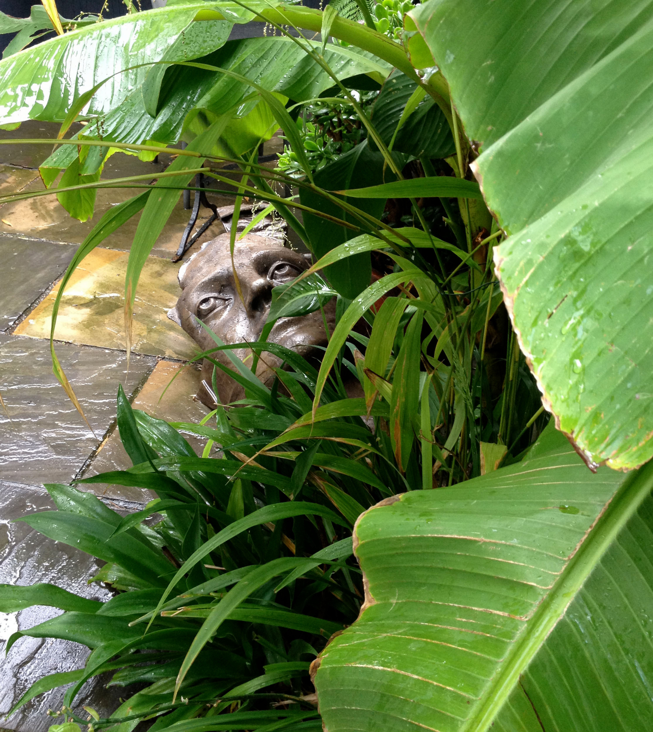 Houzz в саду: Тропический сад в Лондоне — всего 32 кв.м