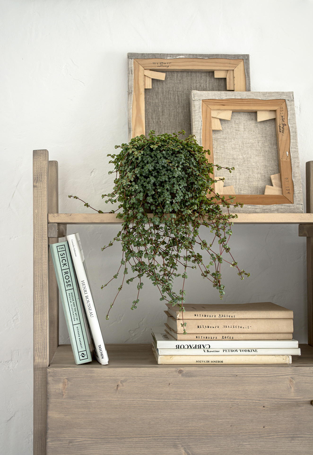 Houzz тур: Таунхаус в пригороде Петербурга для художницы