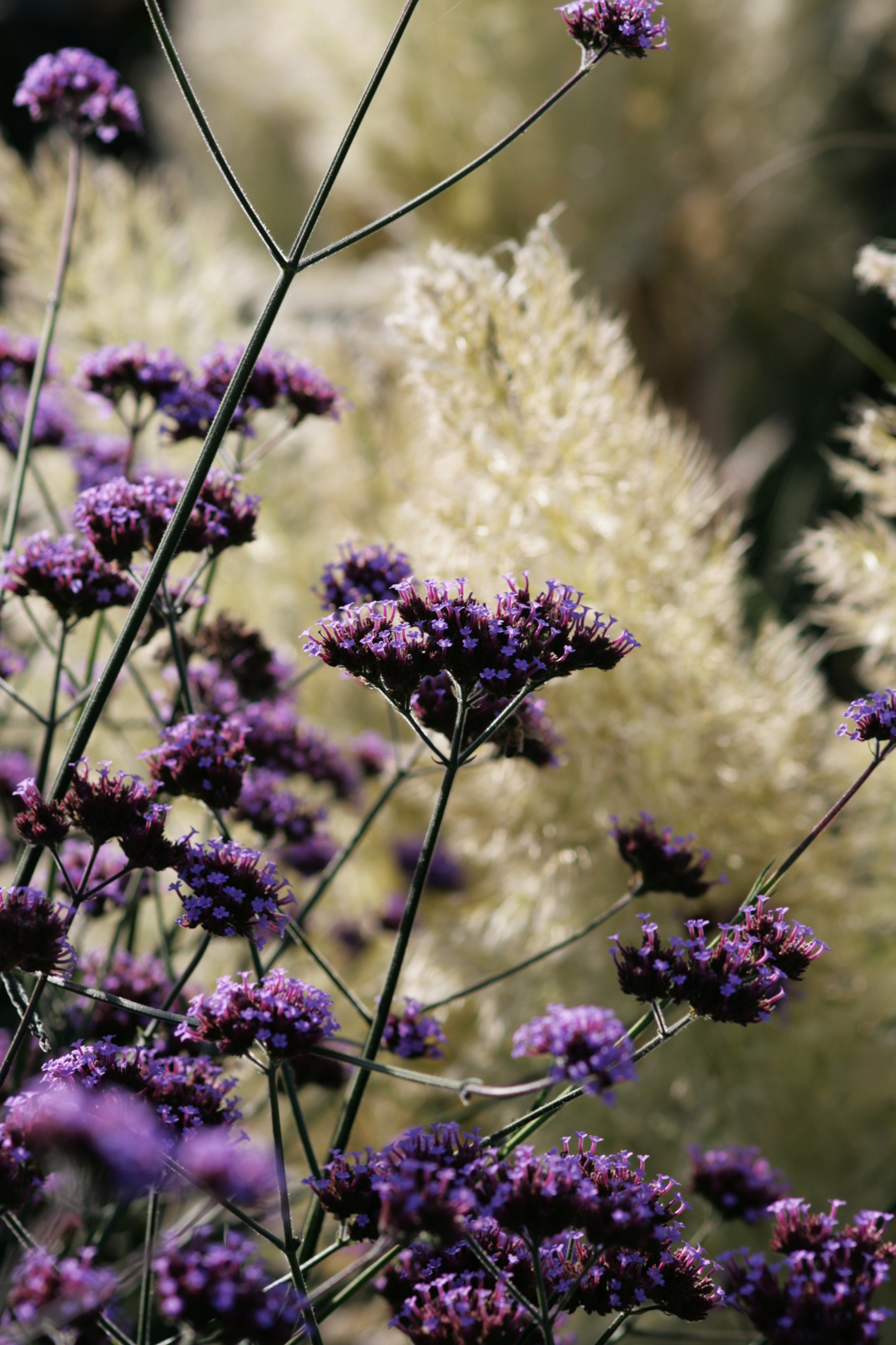 Ту-мач: Что понимают и что стоило бы понимать под «китчем»