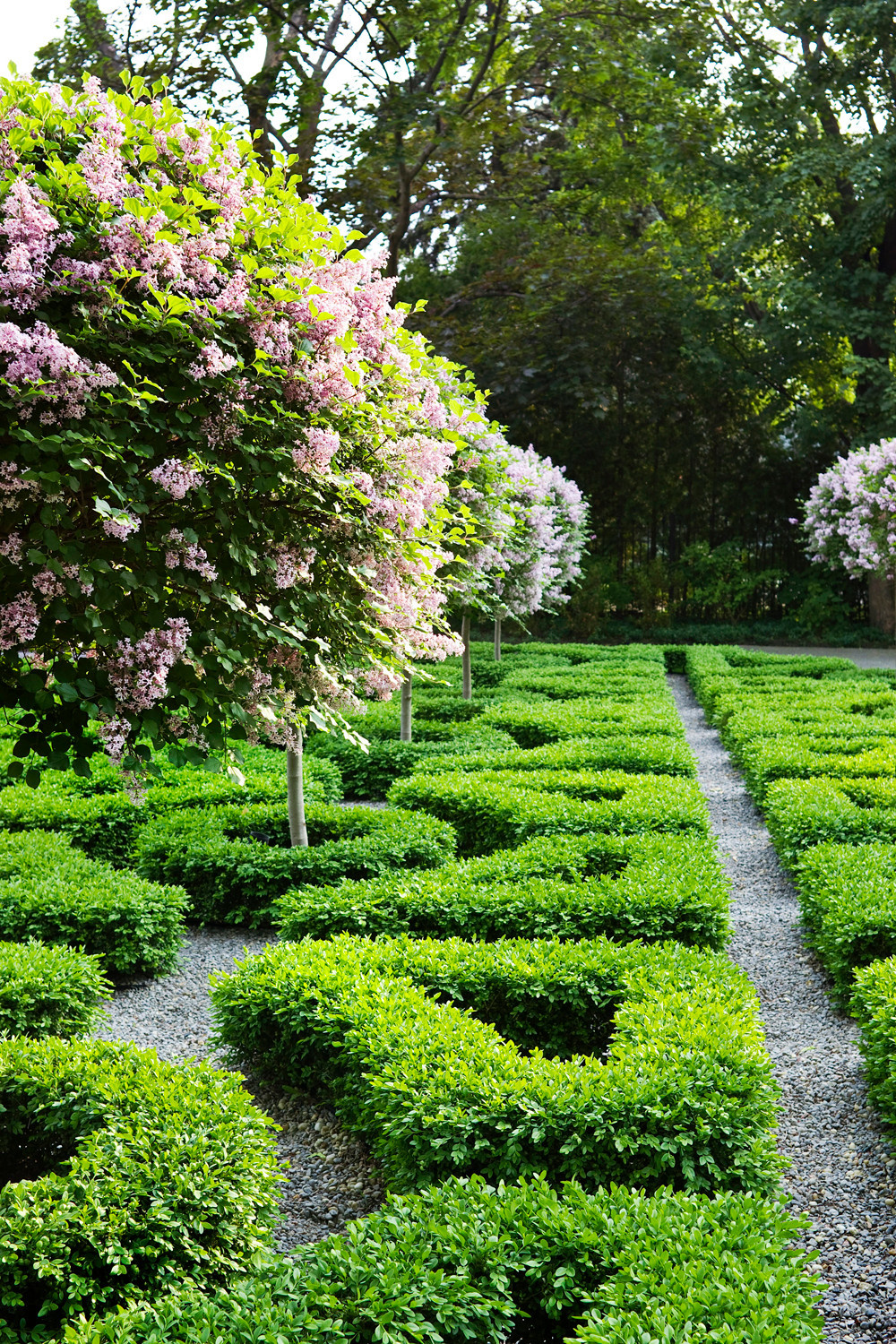 Чем заняться на каникулах: Искать вдохновение для сада в искусстве