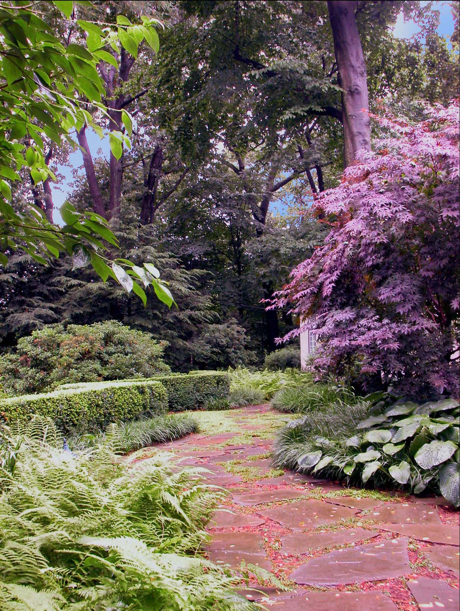 Чем заняться на каникулах: Искать вдохновение для сада в искусстве
