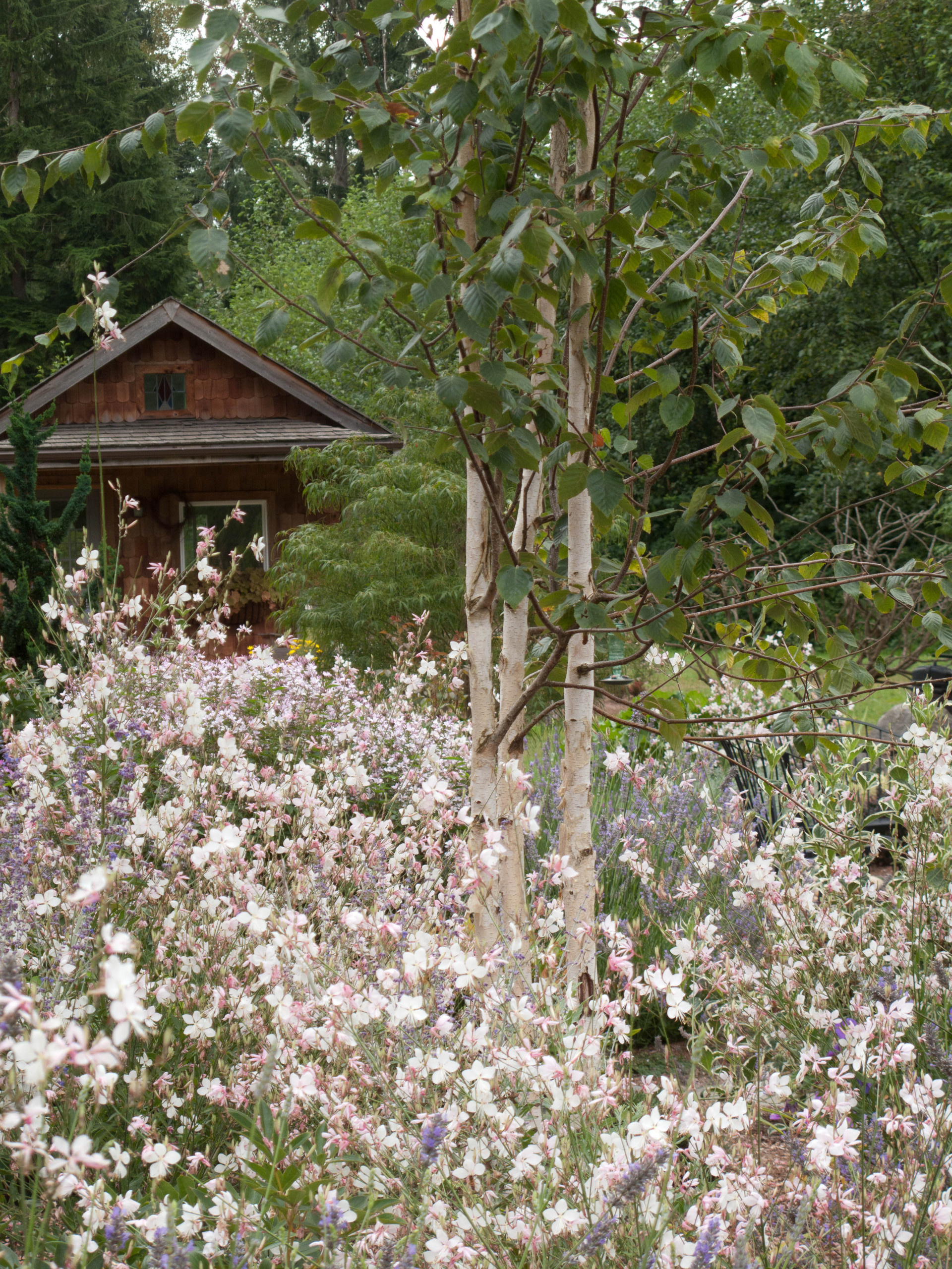 Чем заняться на каникулах: Искать вдохновение для сада в искусстве