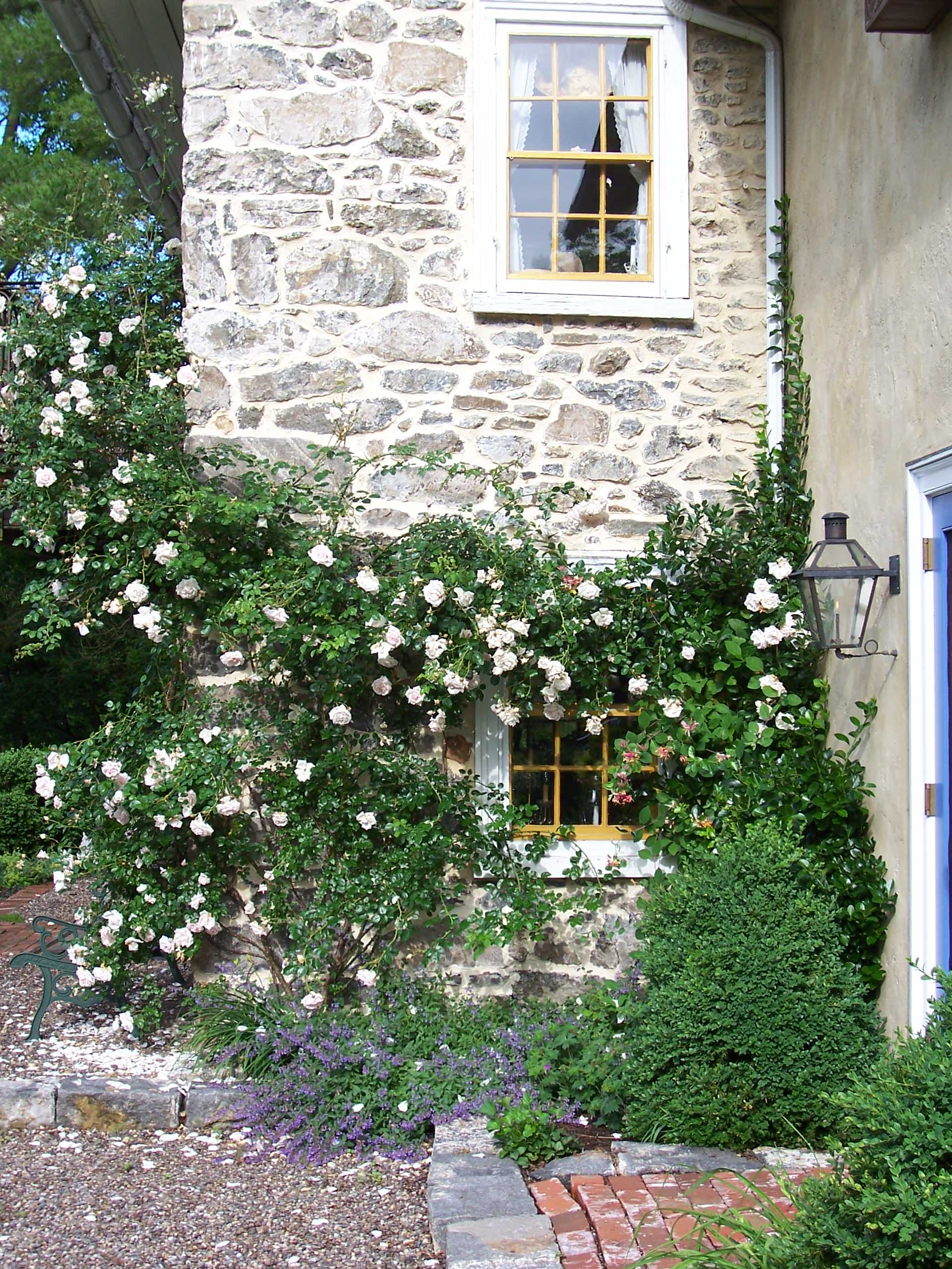 Чем заняться на каникулах: Искать вдохновение для сада в искусстве