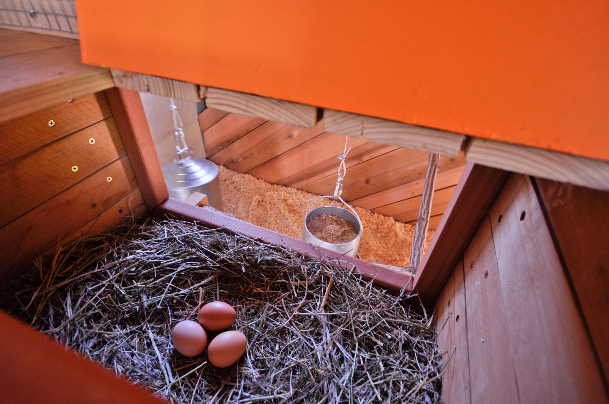 Микротренд: Движение Slow Food — как стать его последователем