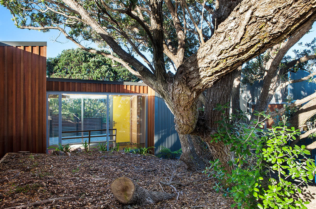 Houzz Новая Зеландия: Дом на скале под раскидистым деревом