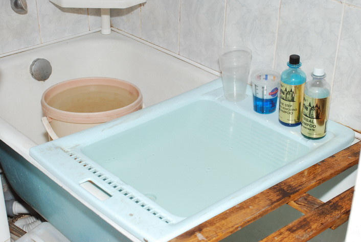 Как справиться с грязью, которую приносят домой животные