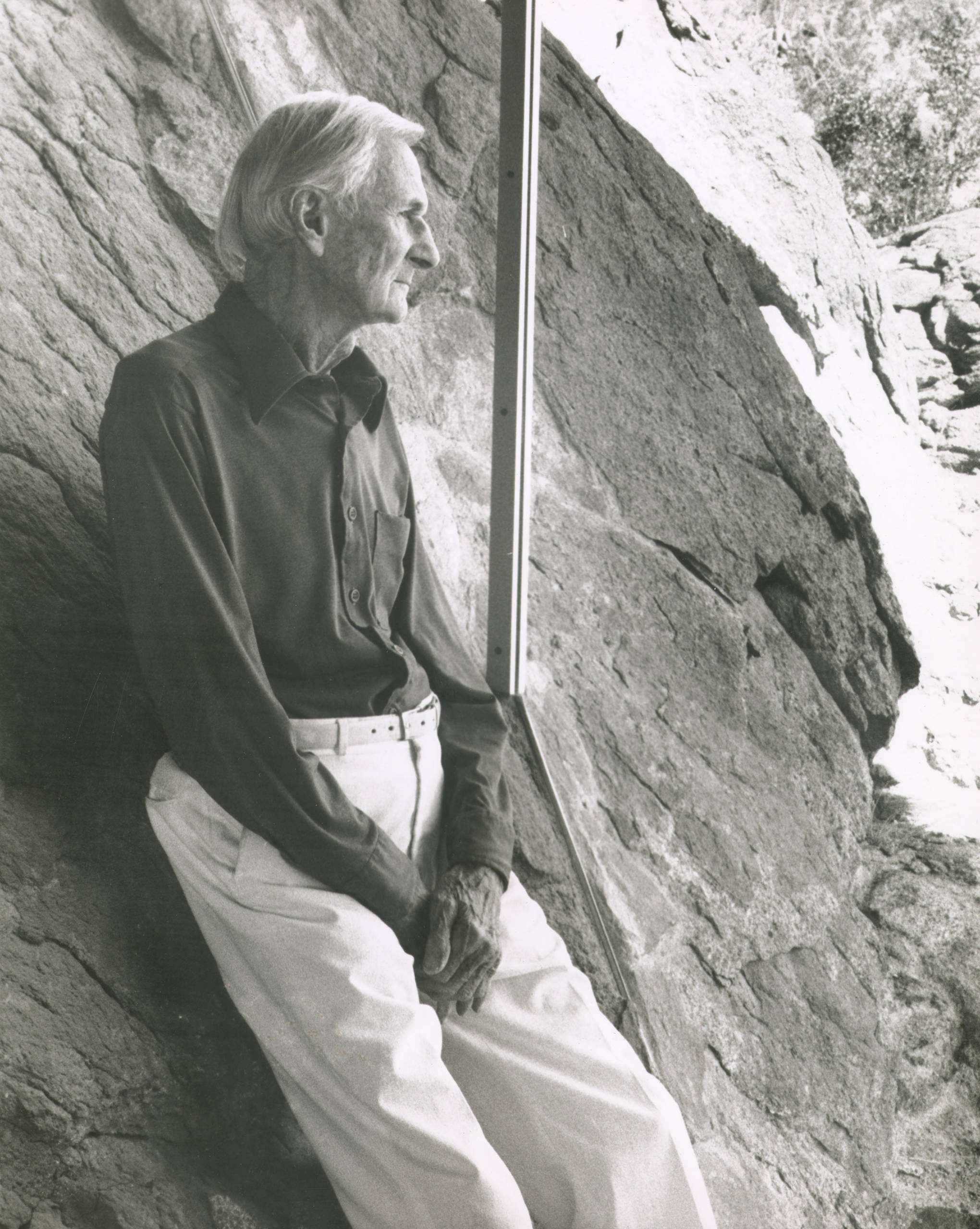 Архитектура: Дом-легенда с валуном внутри