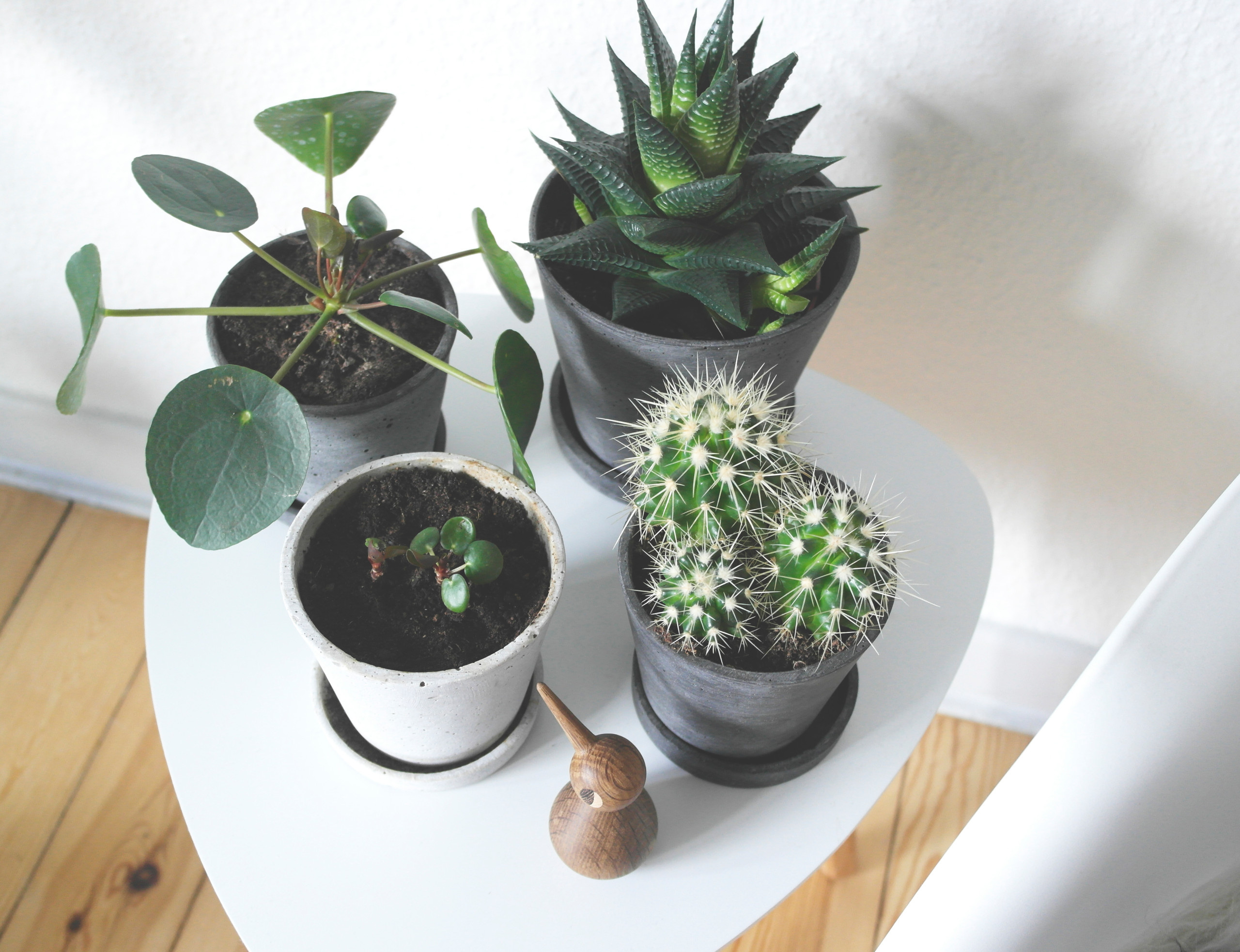 Сквозняк: Как его найти и обезвредить