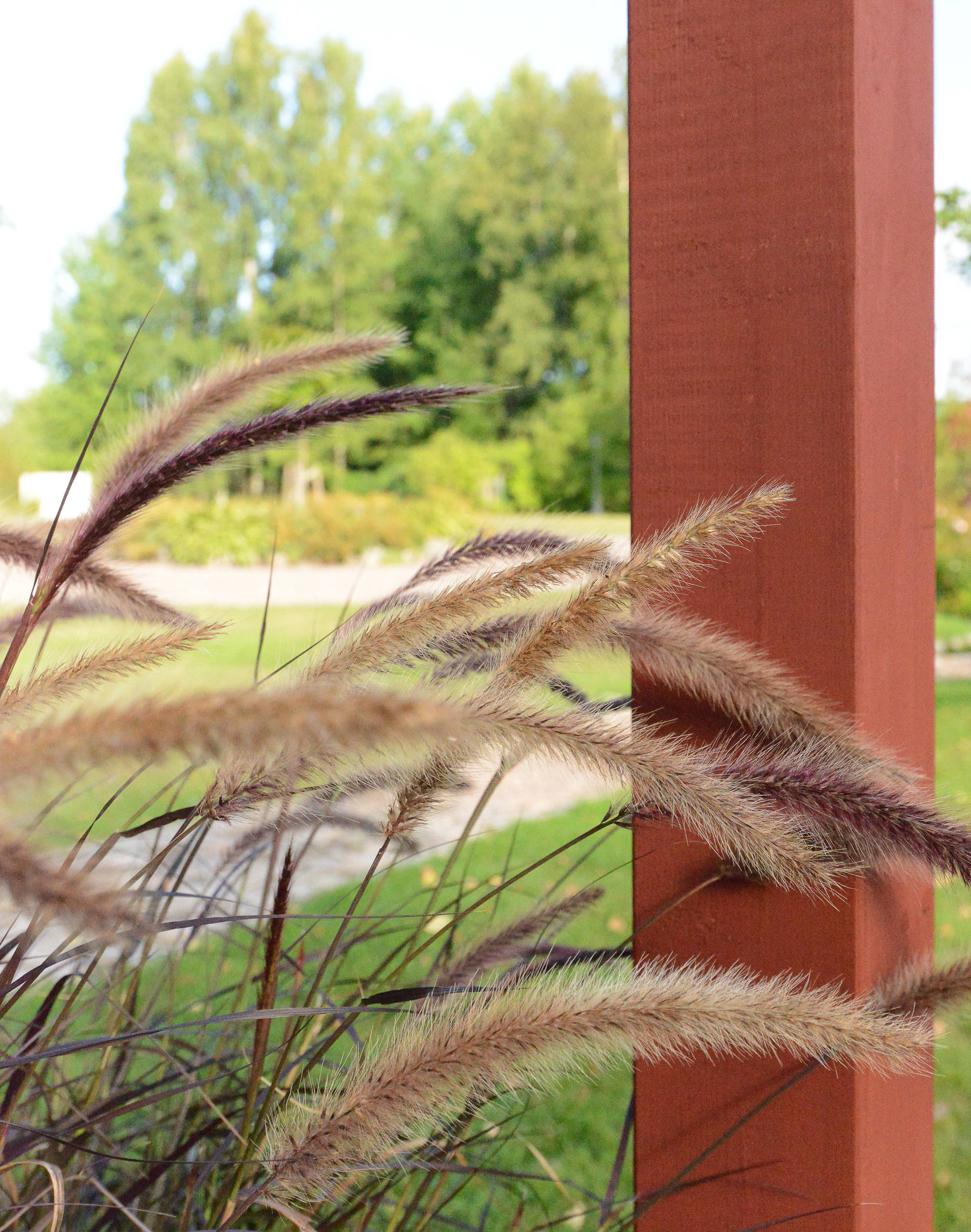 Проект недели: Открытая пергола в шведском Гётеборге