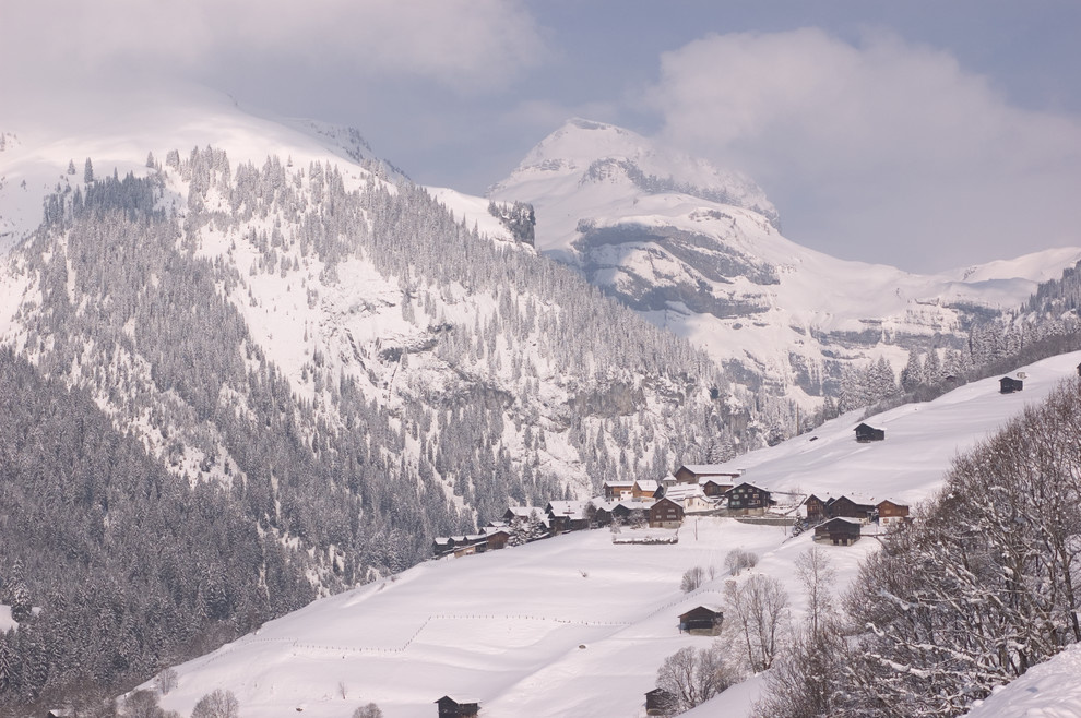 Houzz Швейцария: Дом в Альпах с пандусами вместо лестниц