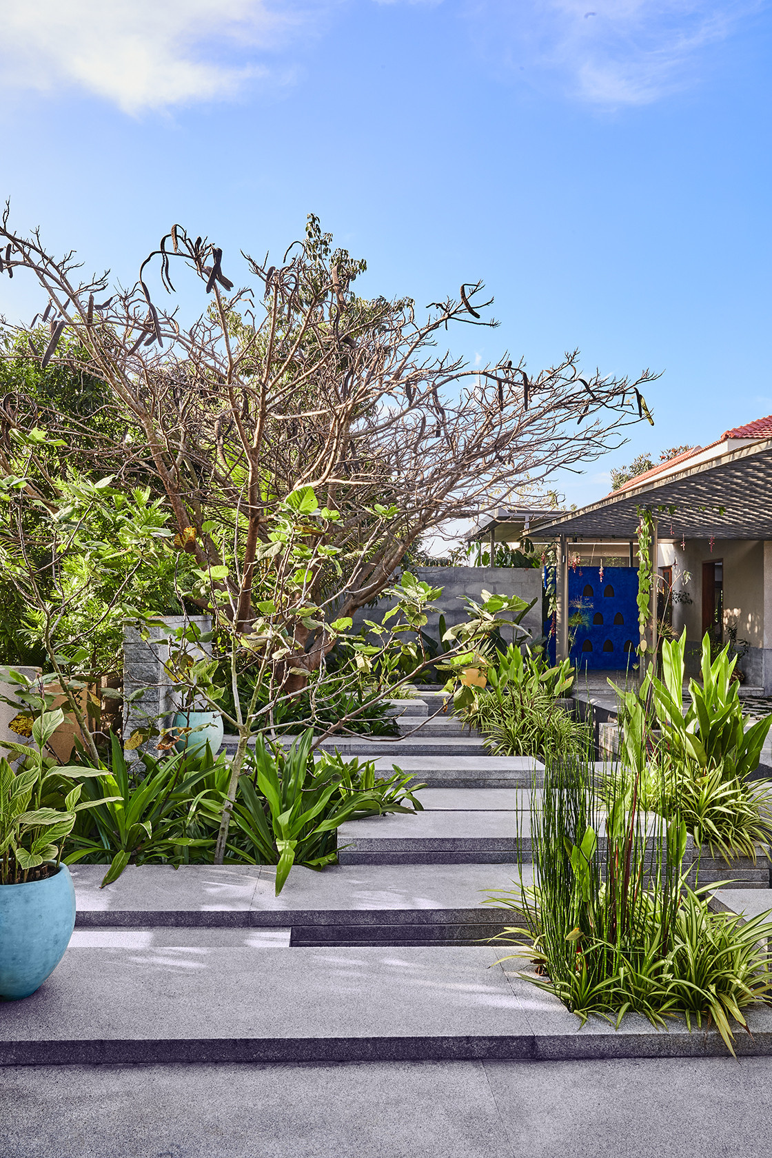 Houzz Индия: Большой дом в тропическом стиле