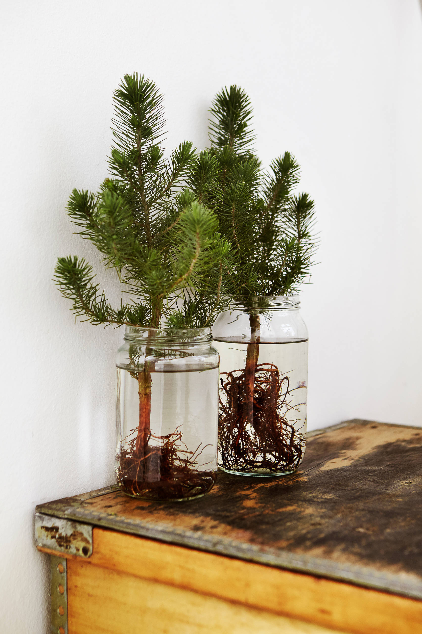 Houzz Дания: Сканди-шик —новогодний декор из природных материалов