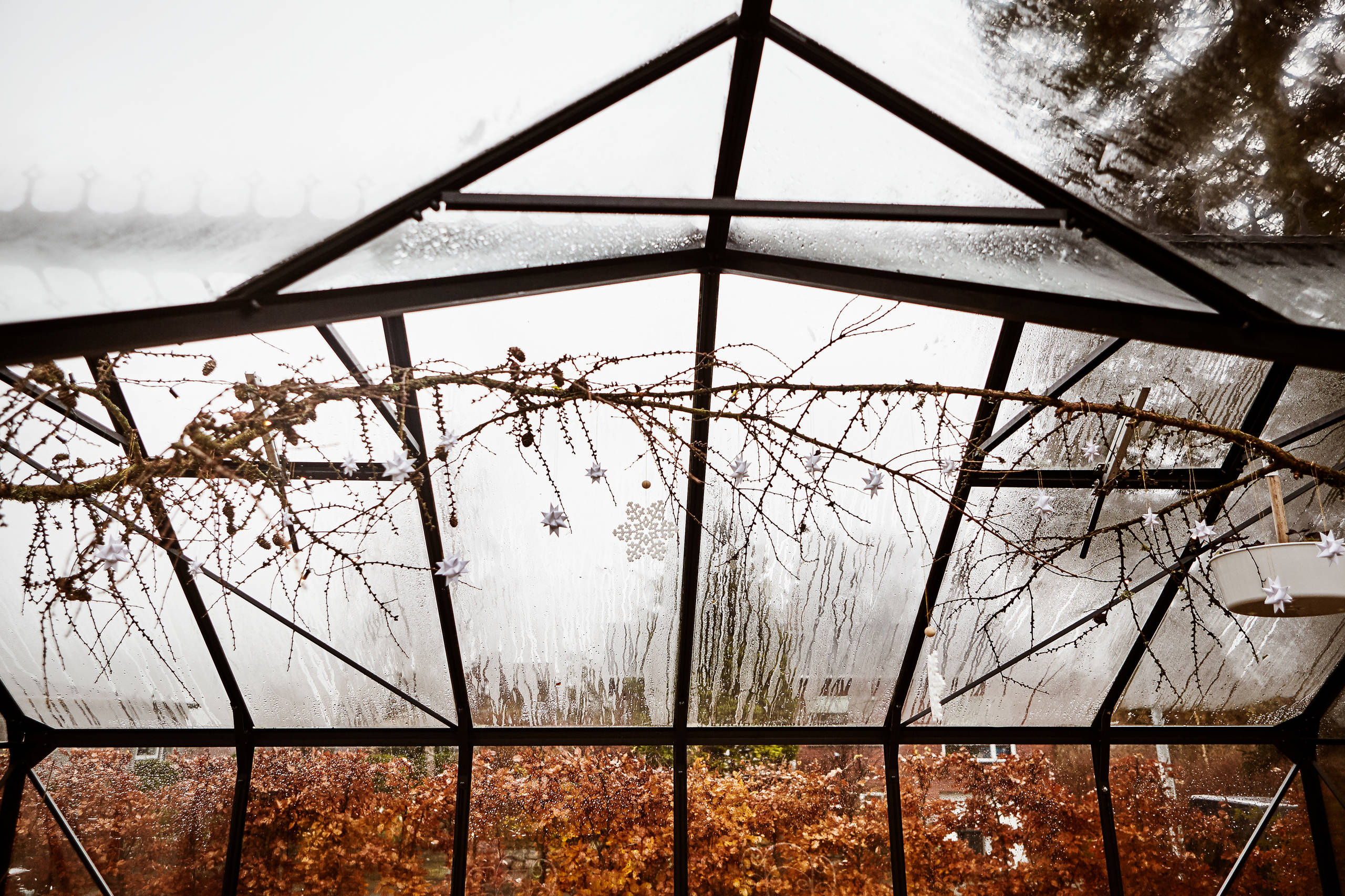 Houzz Дания: Сканди-шик —новогодний декор из природных материалов