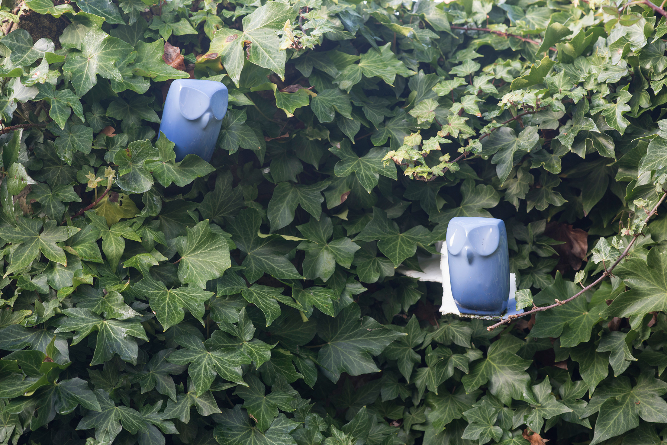 Houzz Нидерланды: Как бельгийский стиль преобразил старинный коттедж