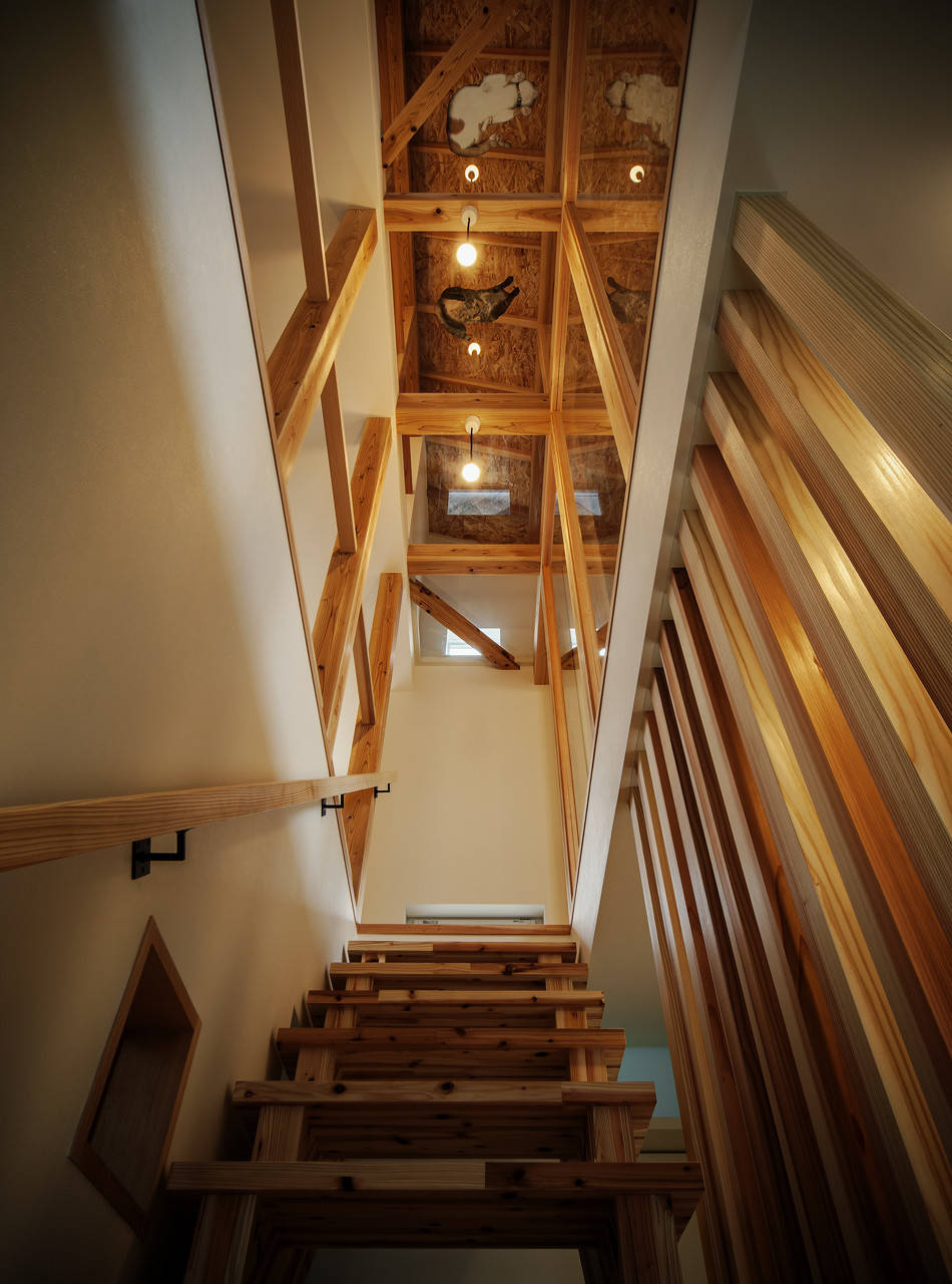 Мир дизайна: 10 счастливых питомцев и их места обитания в доме