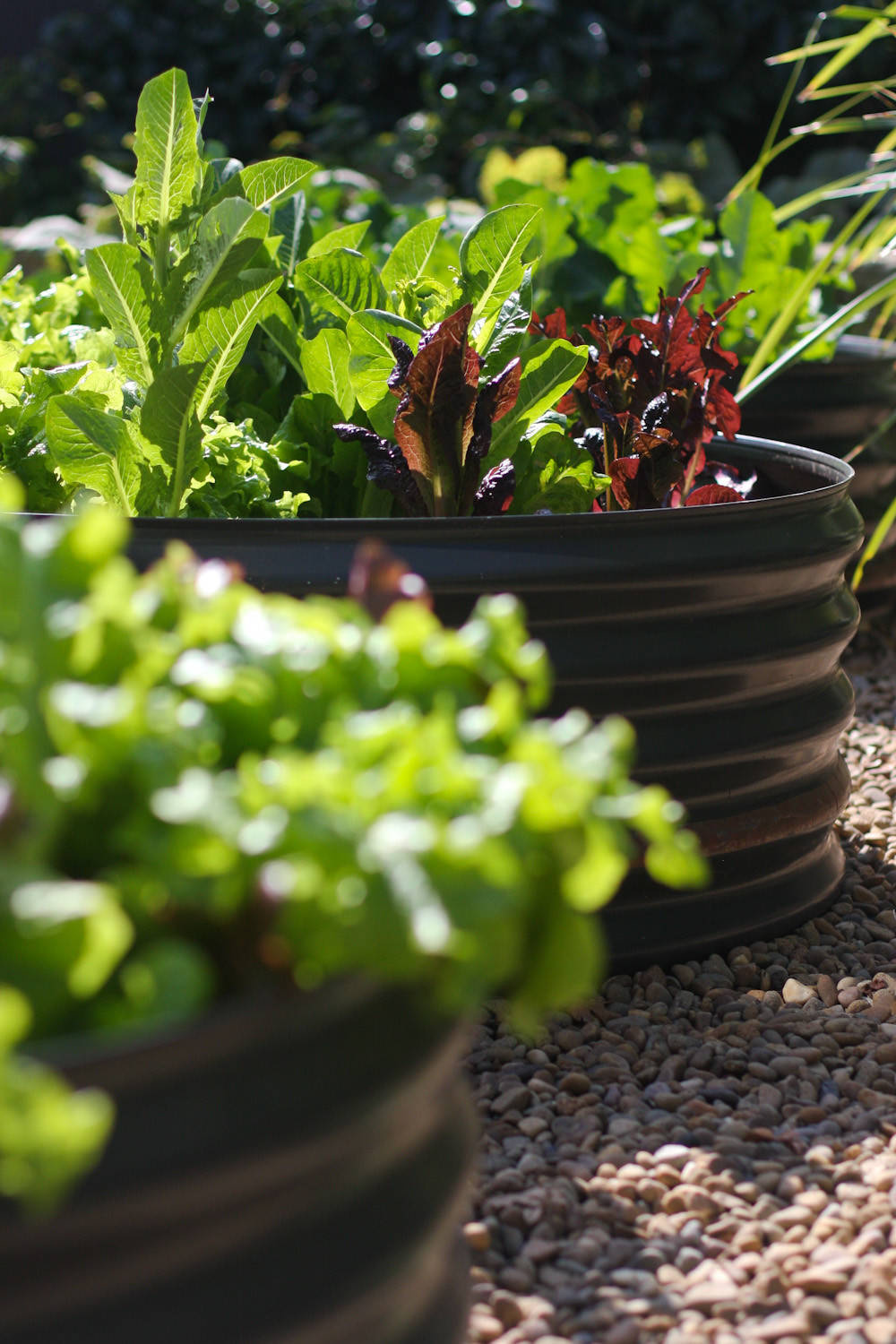 Ваш участок 10 соток? —Забудьте о саде «новой волны»