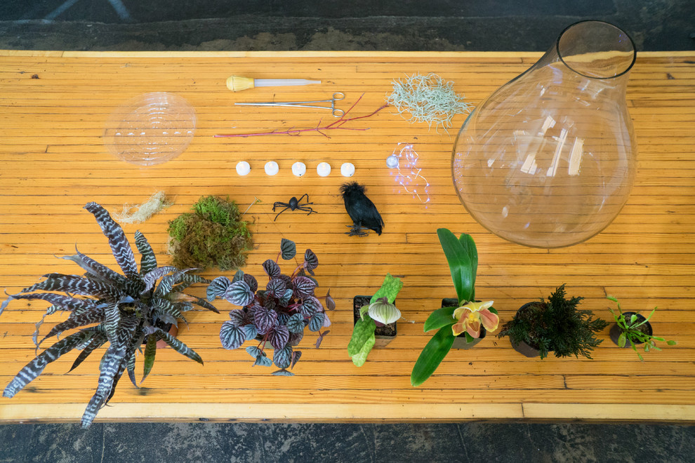 DIY: Террариум для Хэллоуина