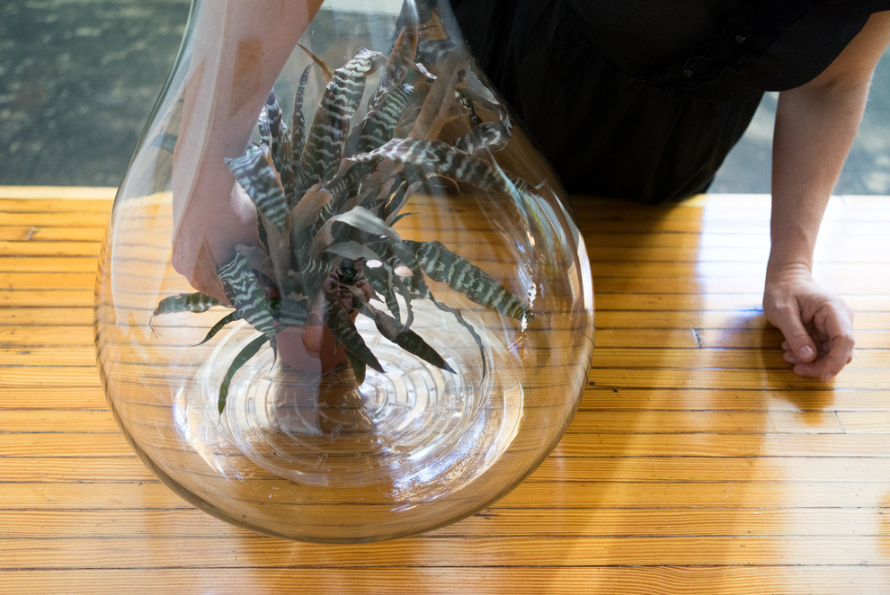 DIY: Террариум для Хэллоуина