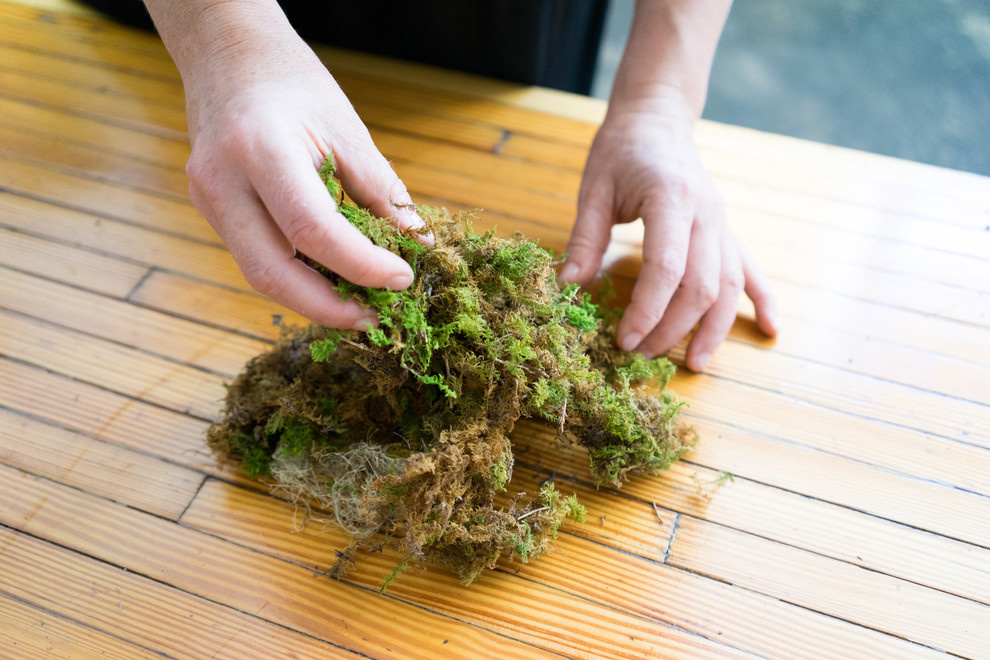 DIY: Террариум для Хэллоуина