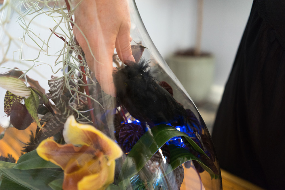 DIY: Террариум для Хэллоуина