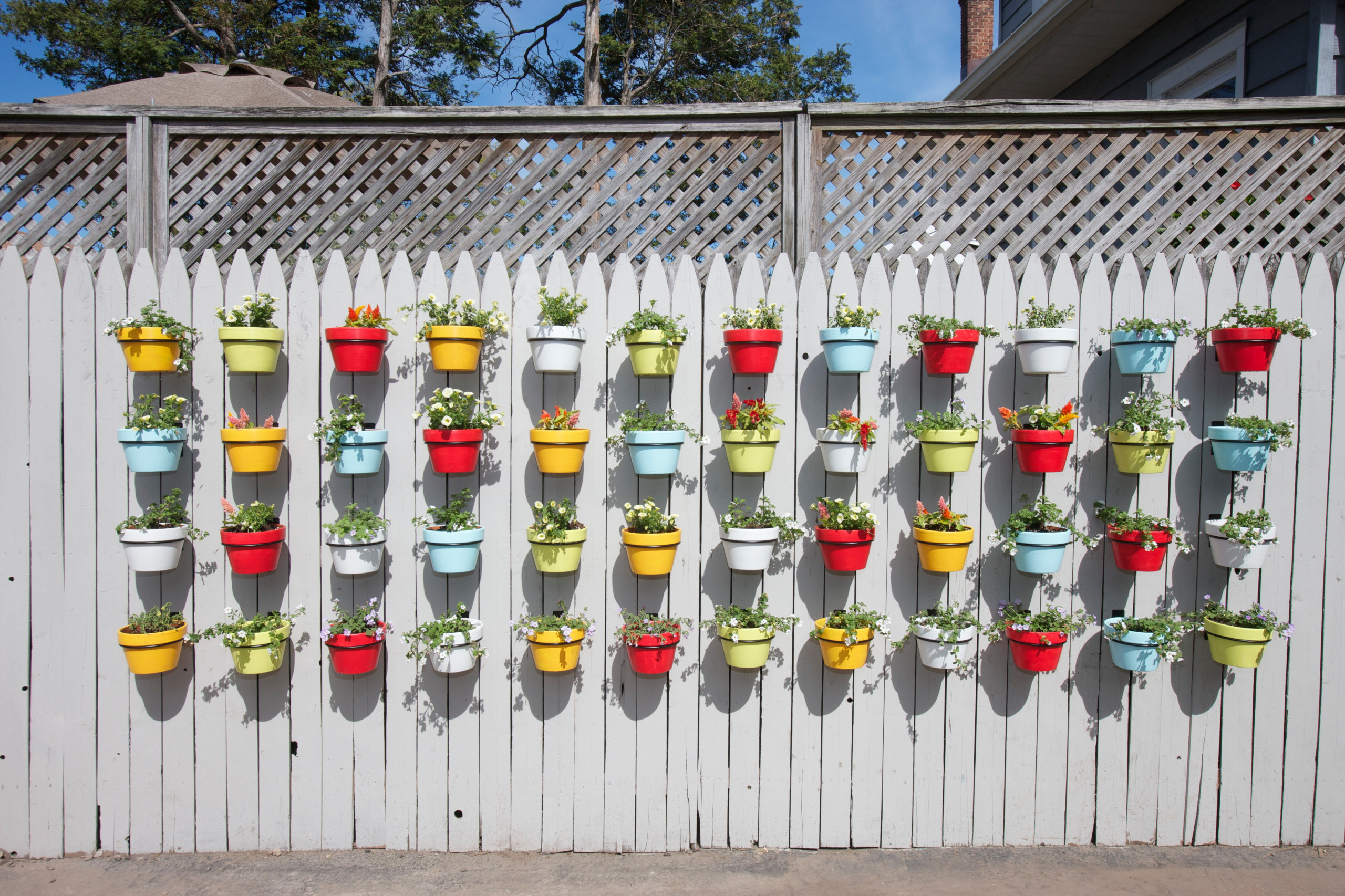 Как сделать вертикальный сад своими руками — в саду и на даче