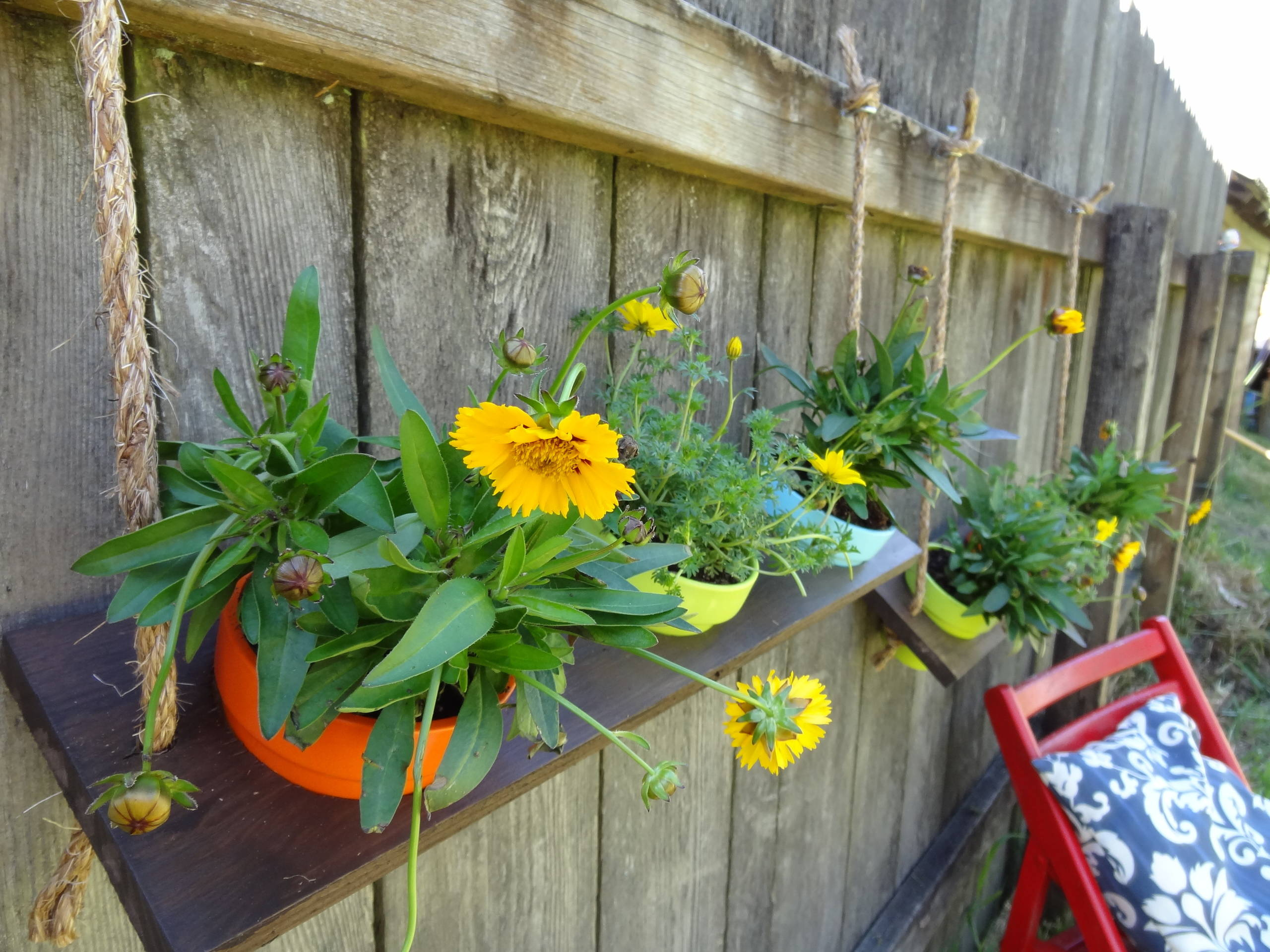 Как сделать вертикальный сад своими руками — в саду и на даче