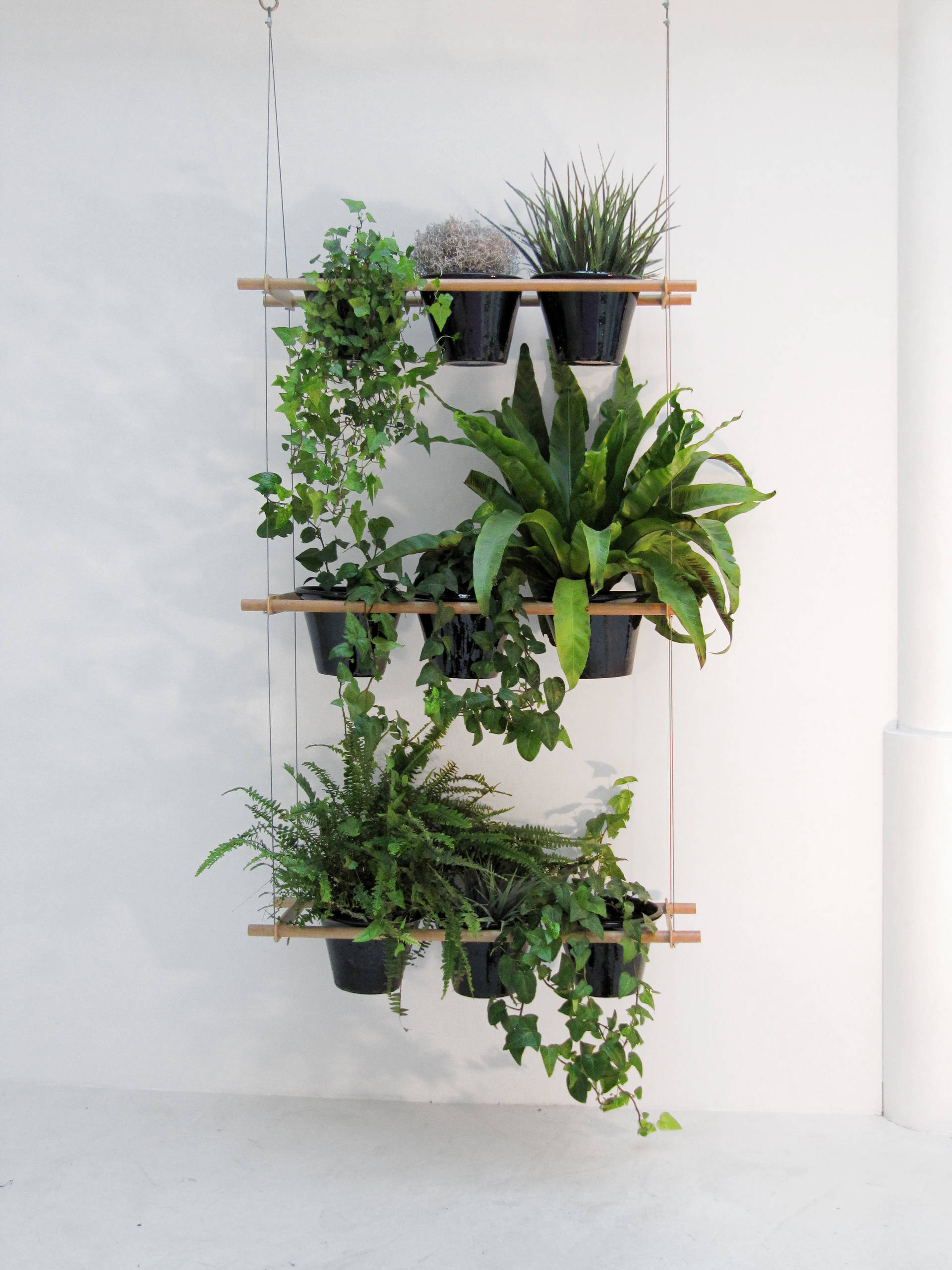 Как сделать вертикальный сад своими руками — в саду и на даче