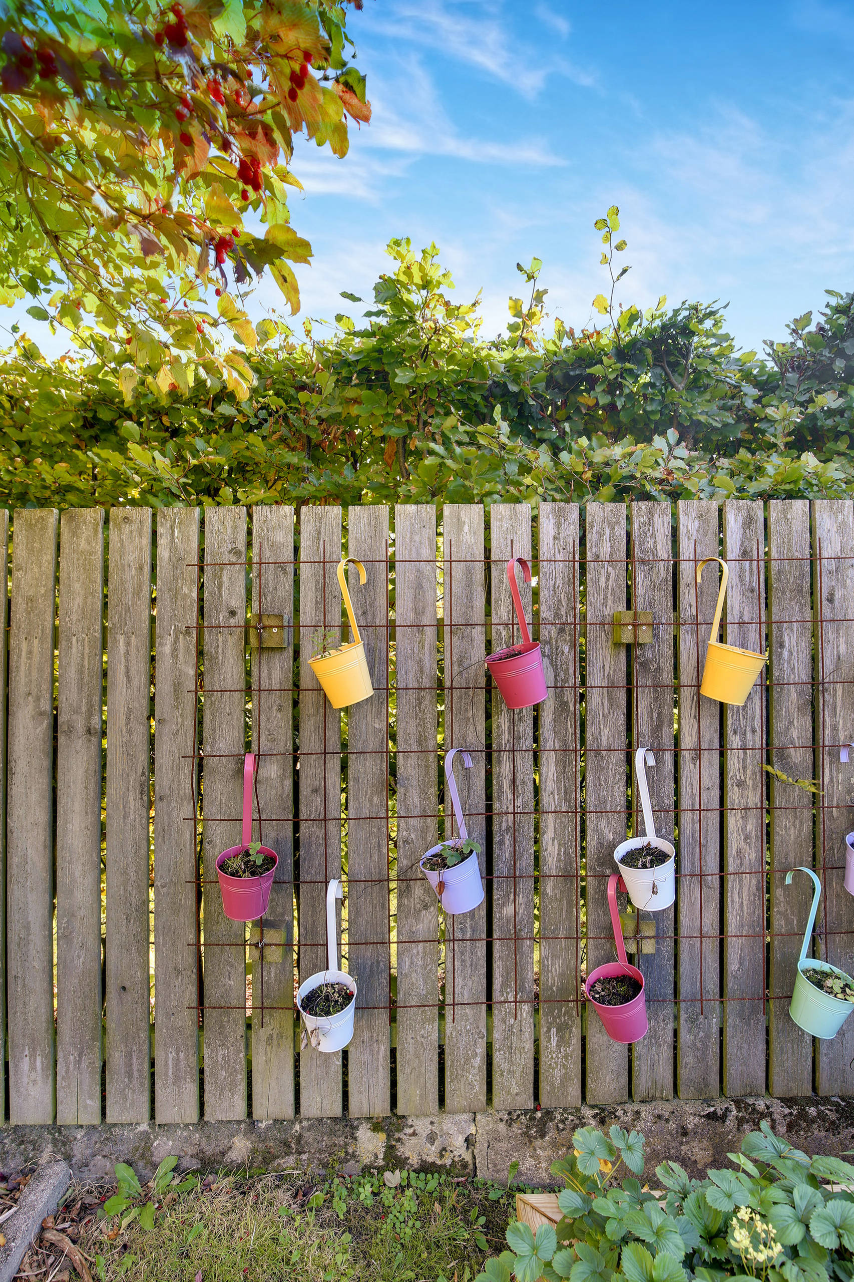 Как сделать вертикальный сад своими руками — в саду и на даче