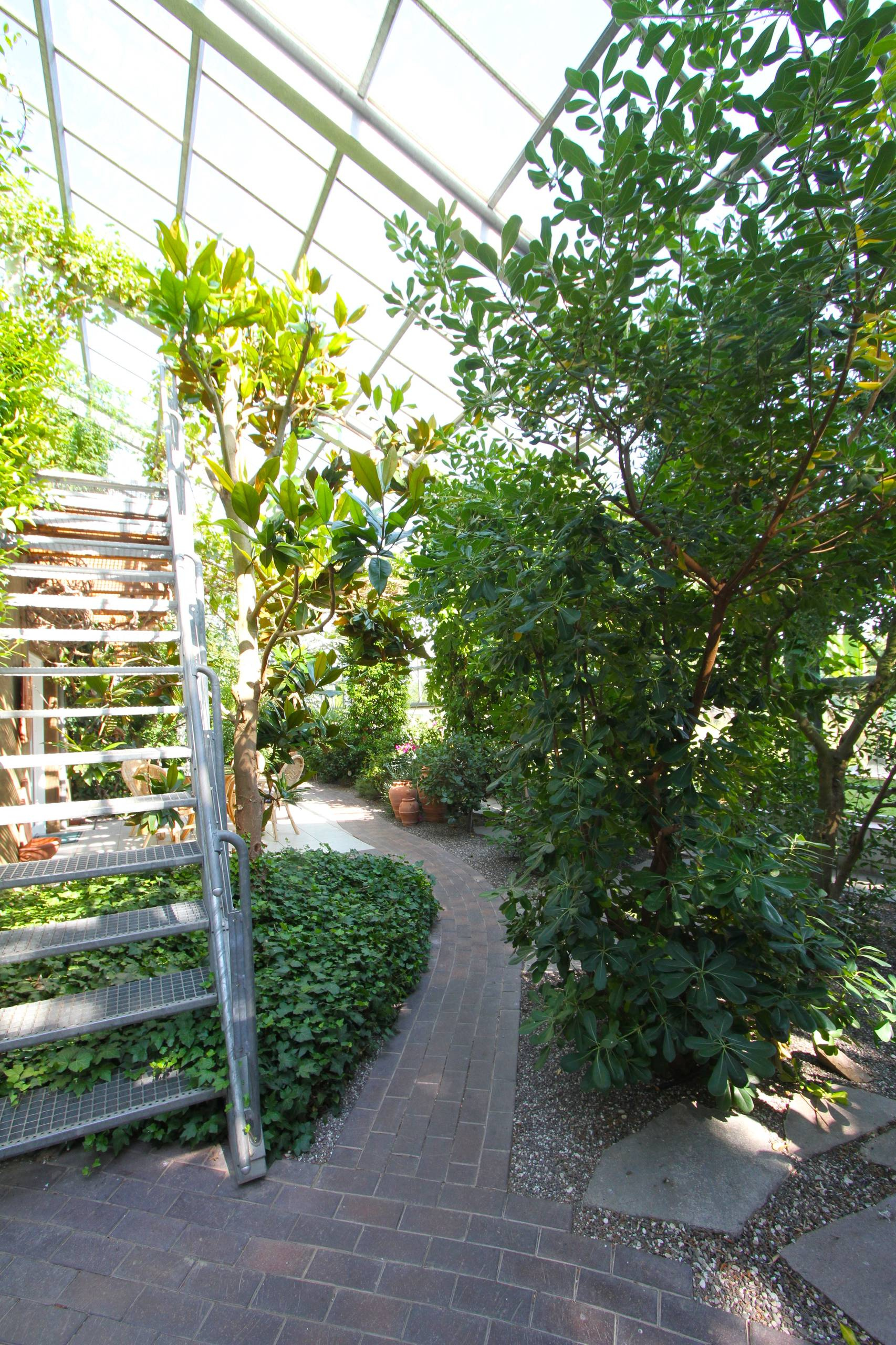 Houzz Германия: Оранжерея для постоянного проживания