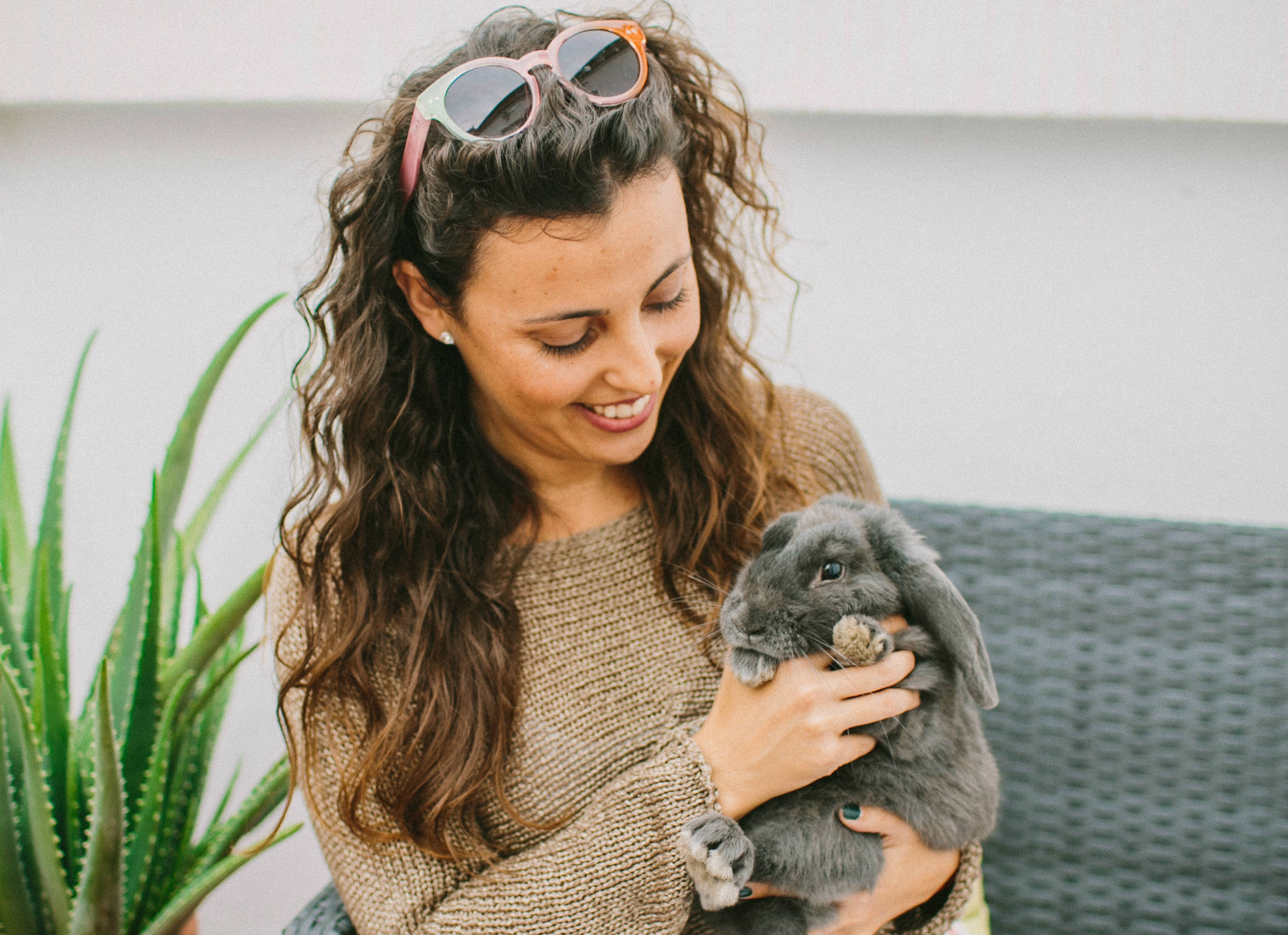 Houzz Испания: Башня с часами в центре Валенсии