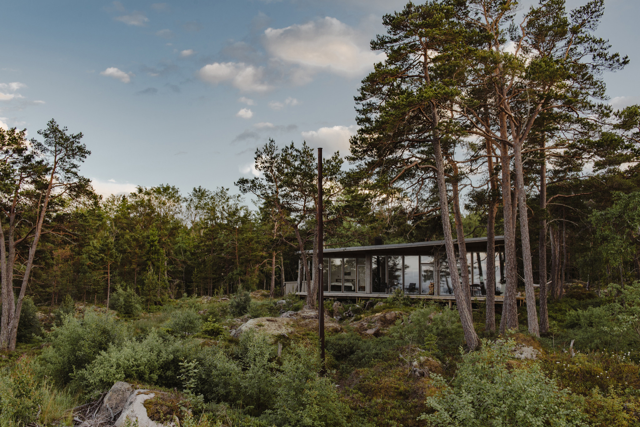 Houzz Швеция: Архитектура, которая сливается с ландшафтом